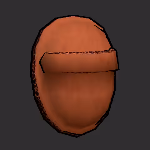 Placeholder Shield (Right Hand)