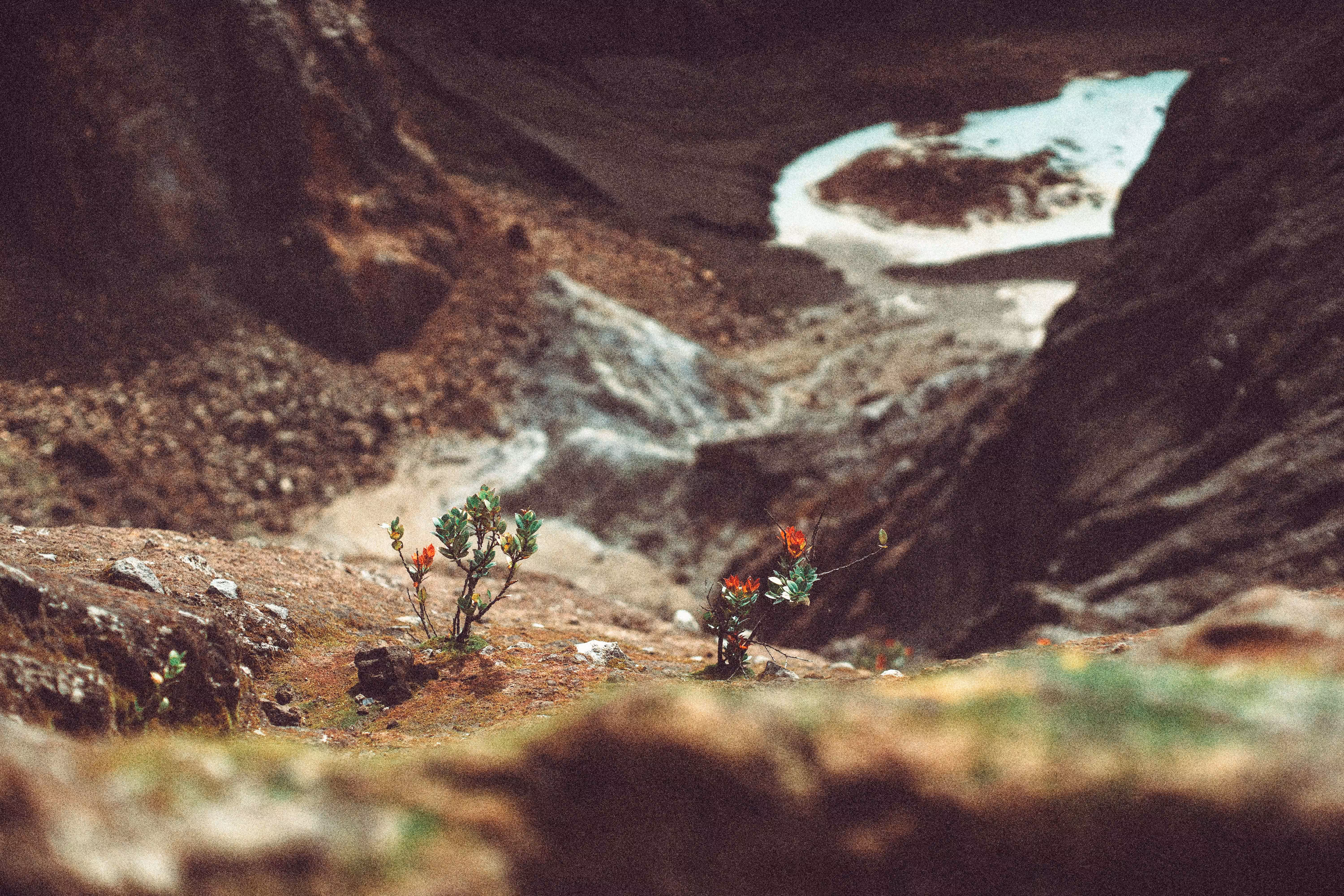 Life in Peculiar Places