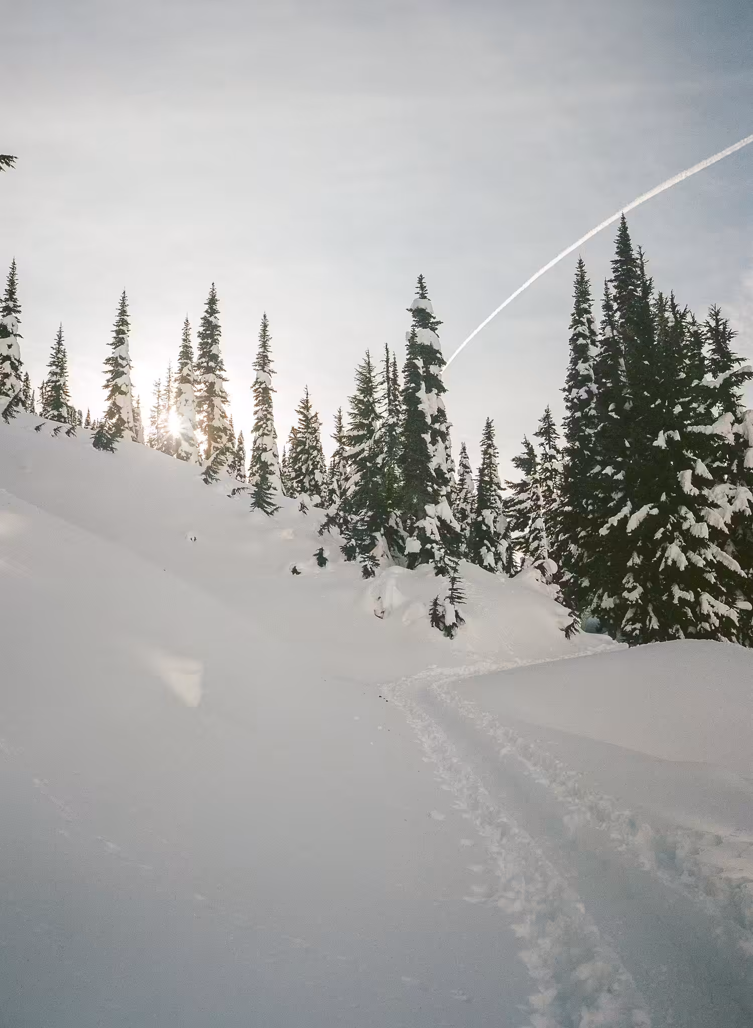 Snow Day
