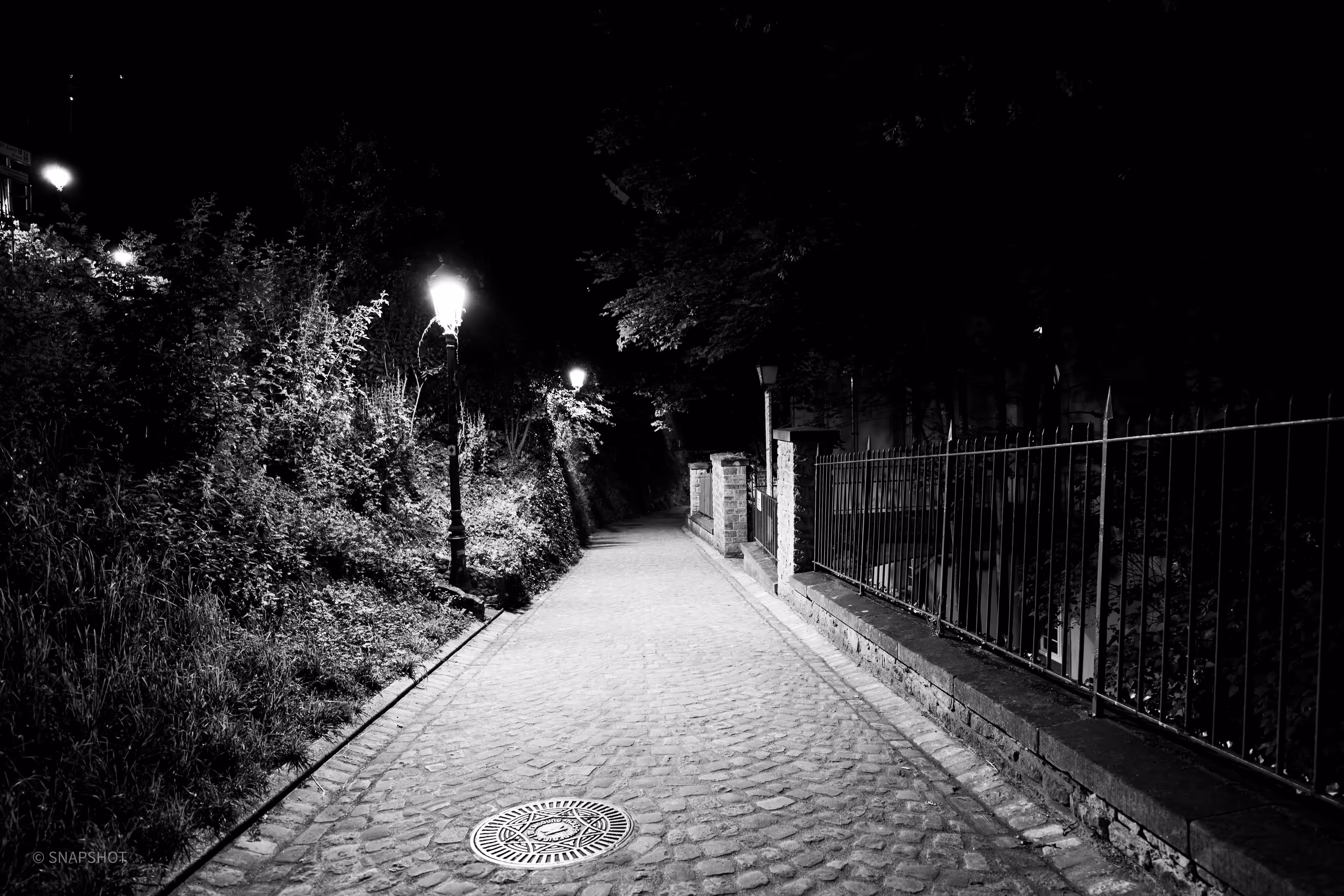 Dark WalkLights