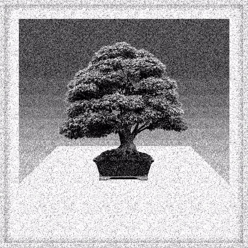 Bonsai Bonanza #456