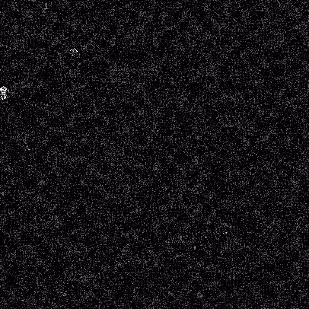 Noise #982 