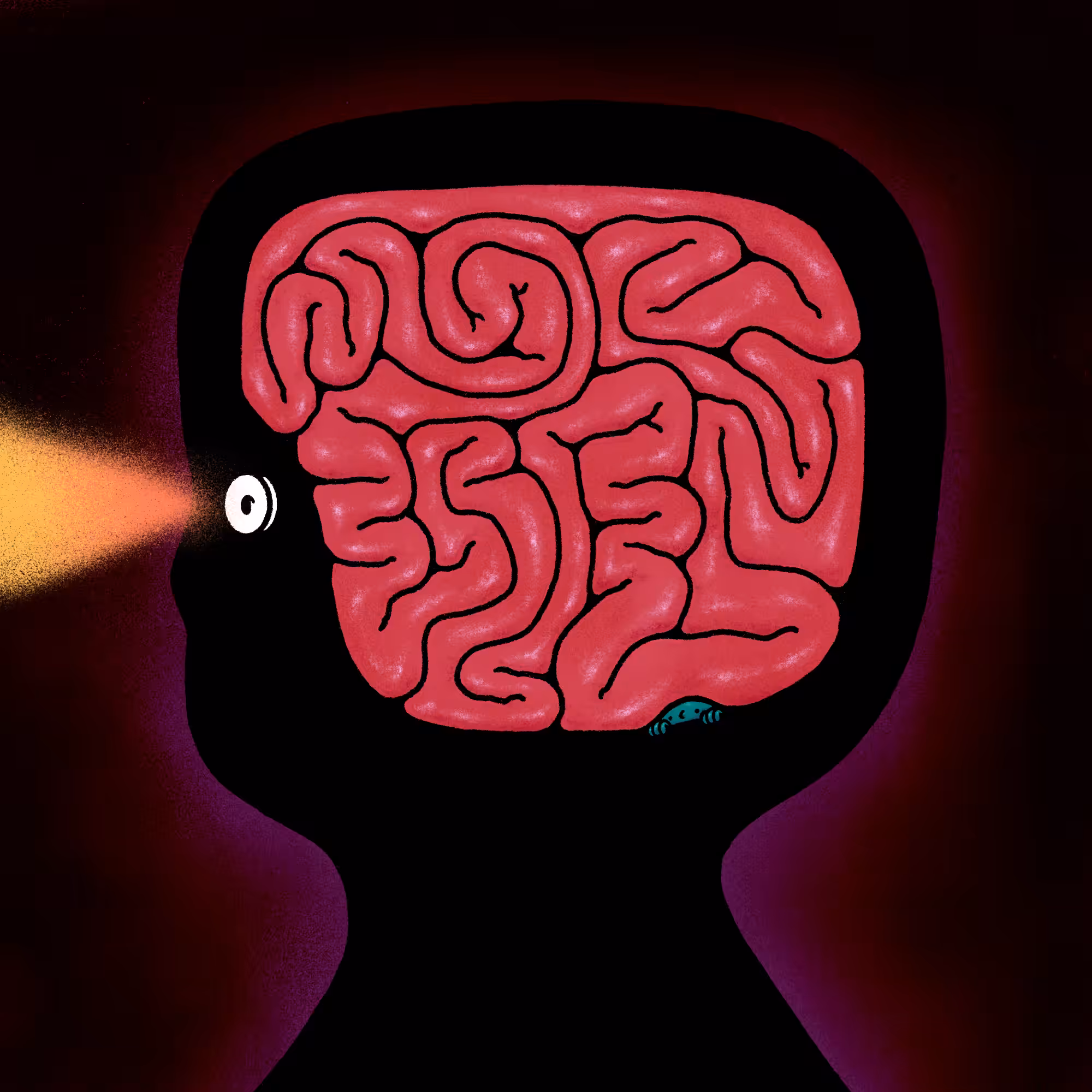 Where do ideas come from?