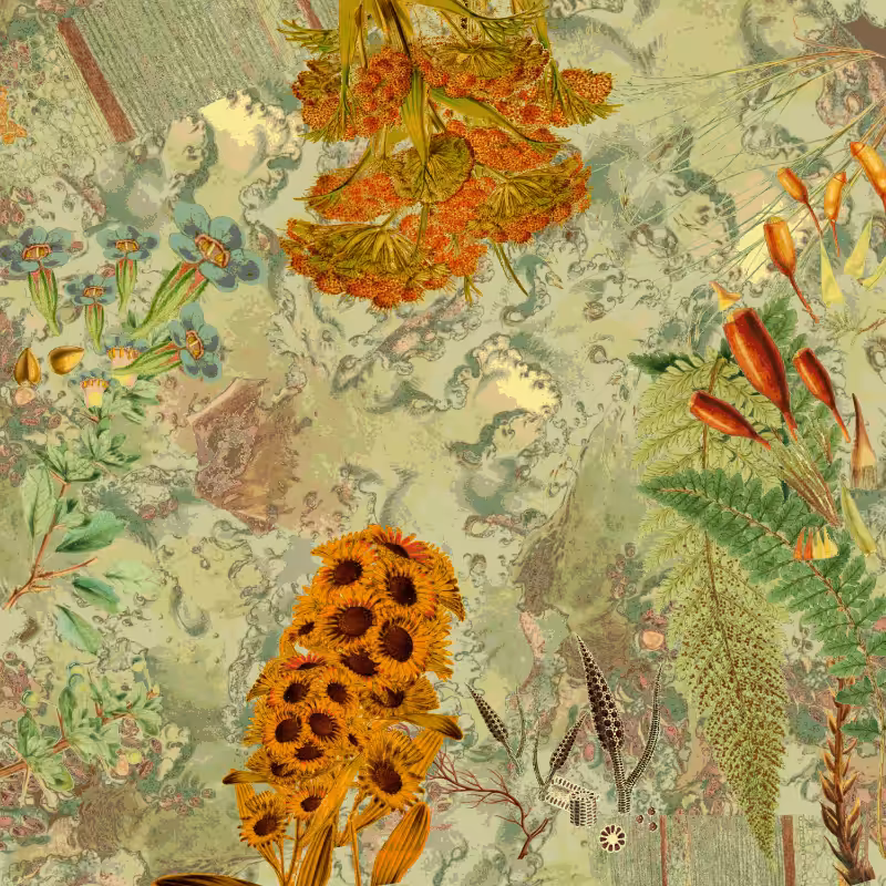 future flora from Antarctica's past #11