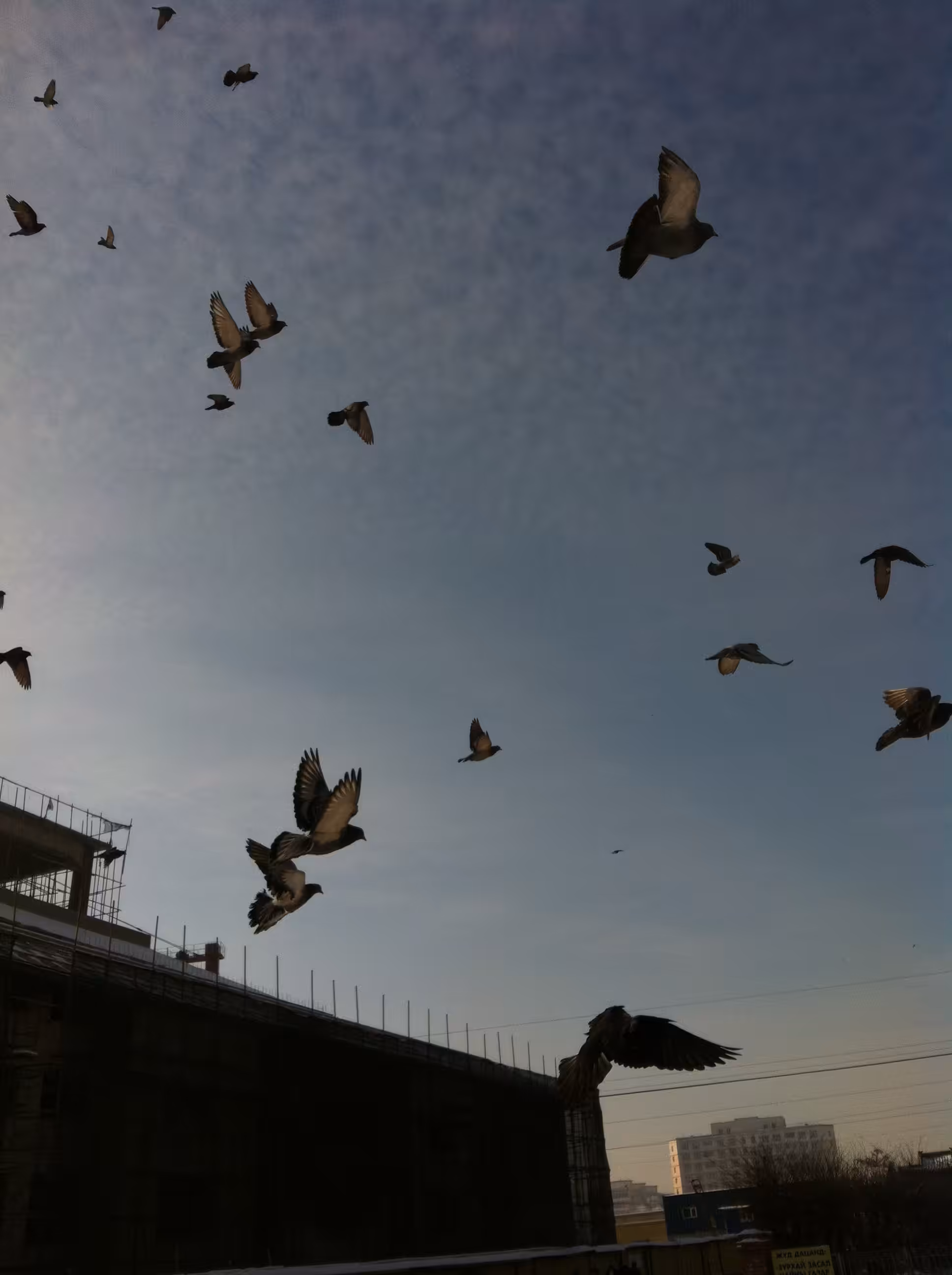 Do you want to Fly with me