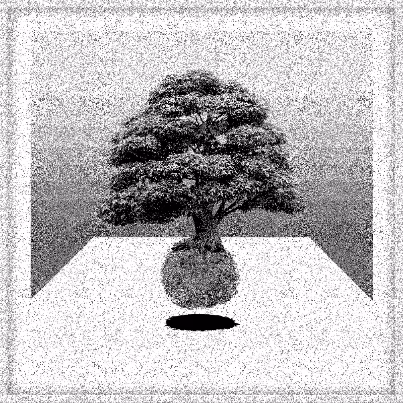 Bonsai Bonanza #180