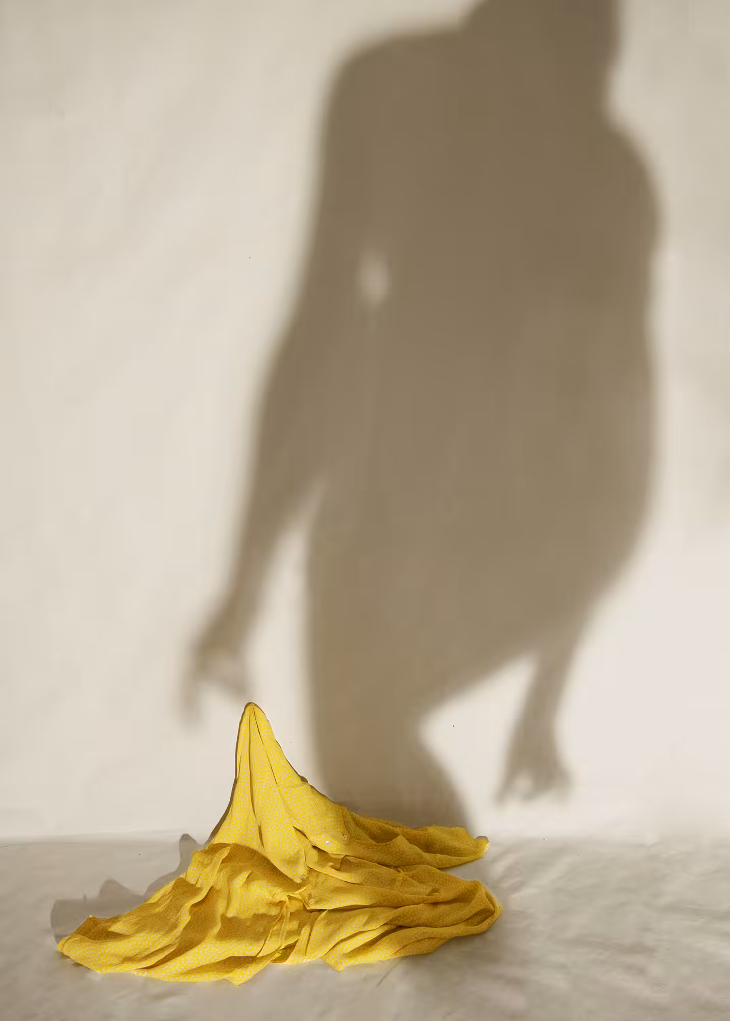 help me hide myself