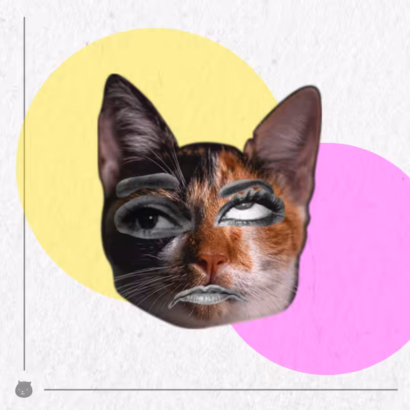 Kittenstein #72