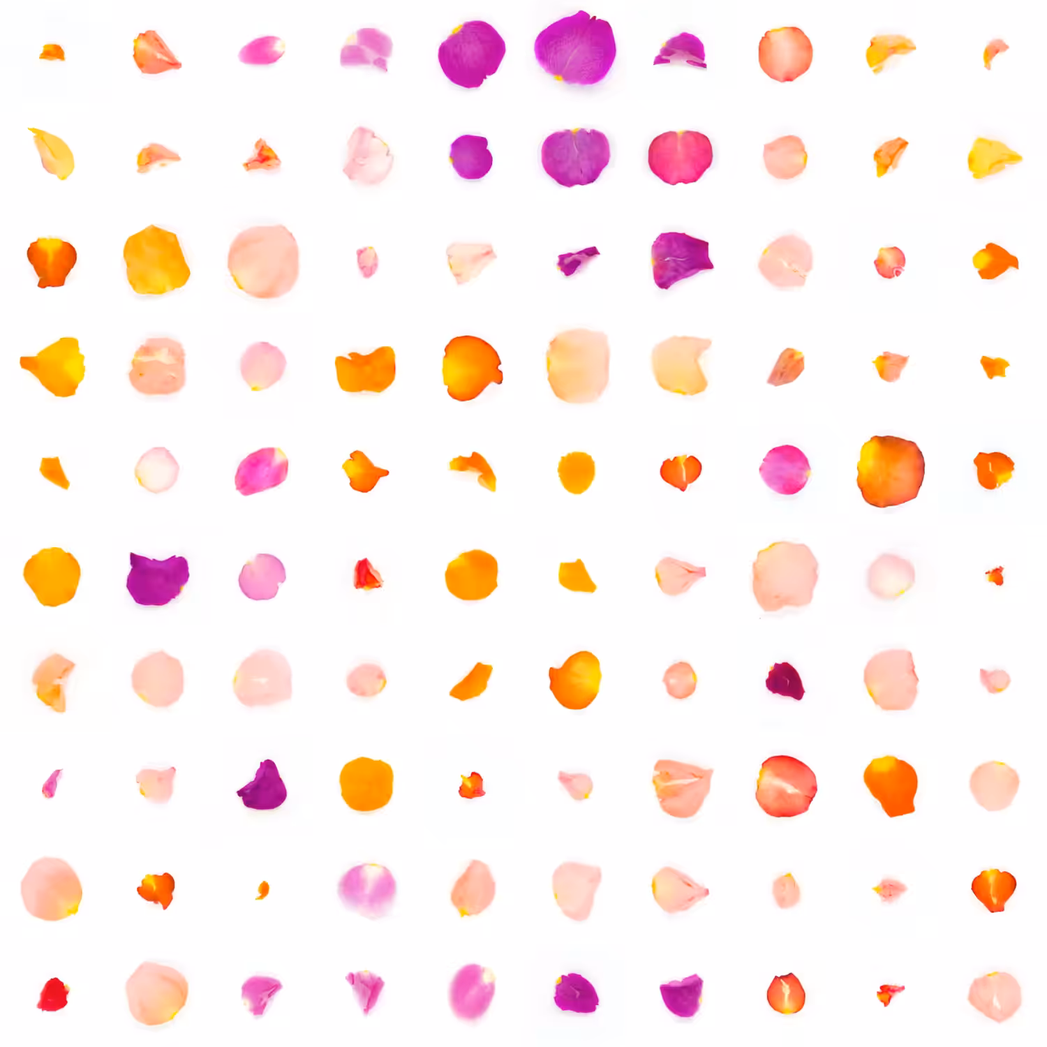 Infinite Petals 10x10#465