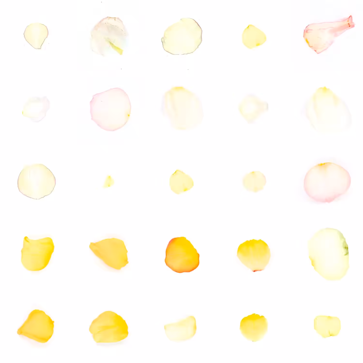 Infinite Petals 5x5#1326
