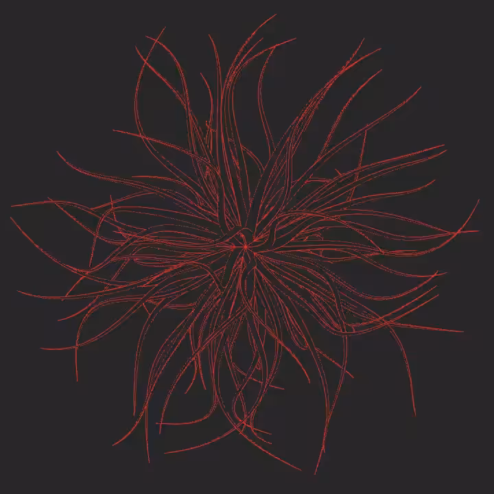 DoodleDeProgramming_20251119