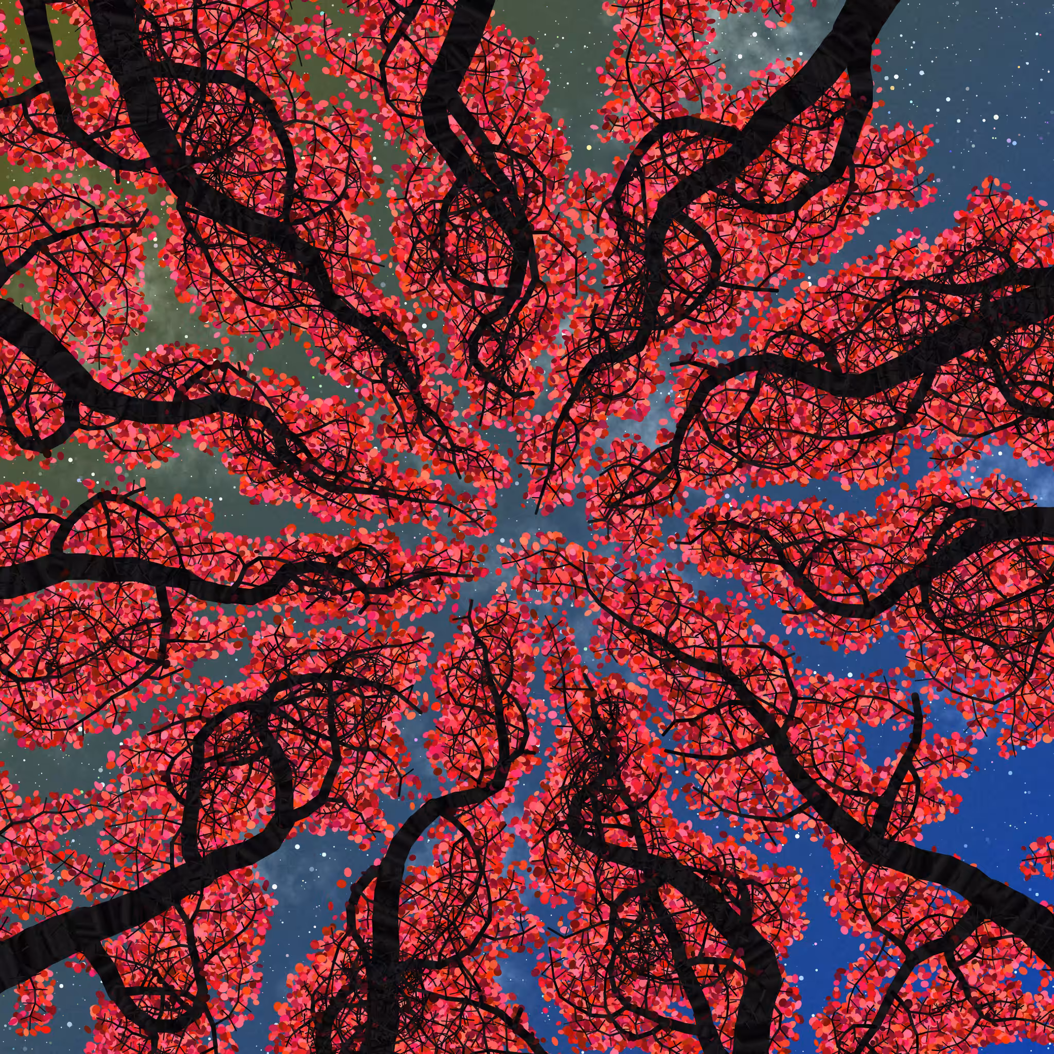 Tree Skyness #239