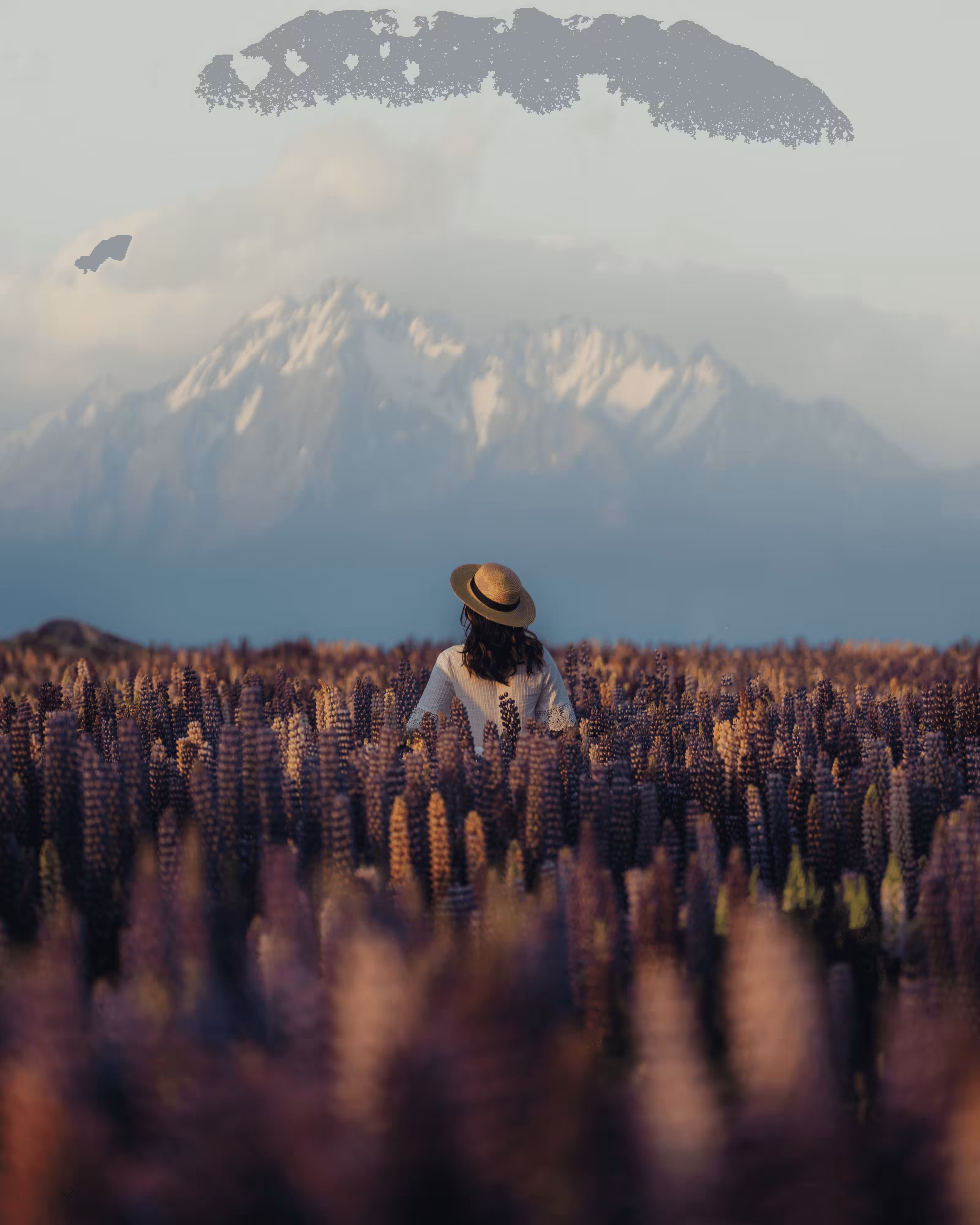 Dreamers keep dreaming #8