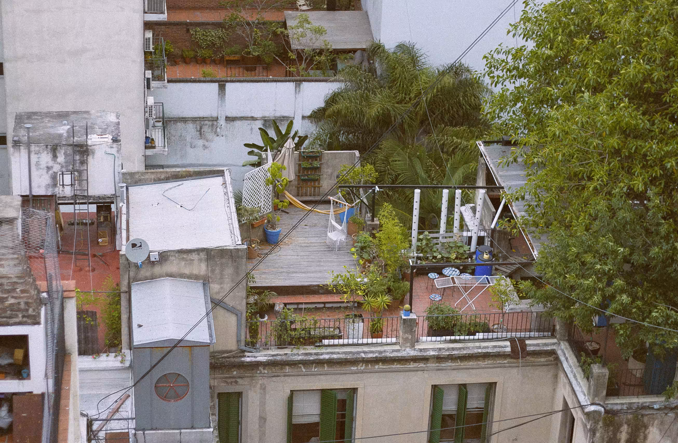 Little Oasis