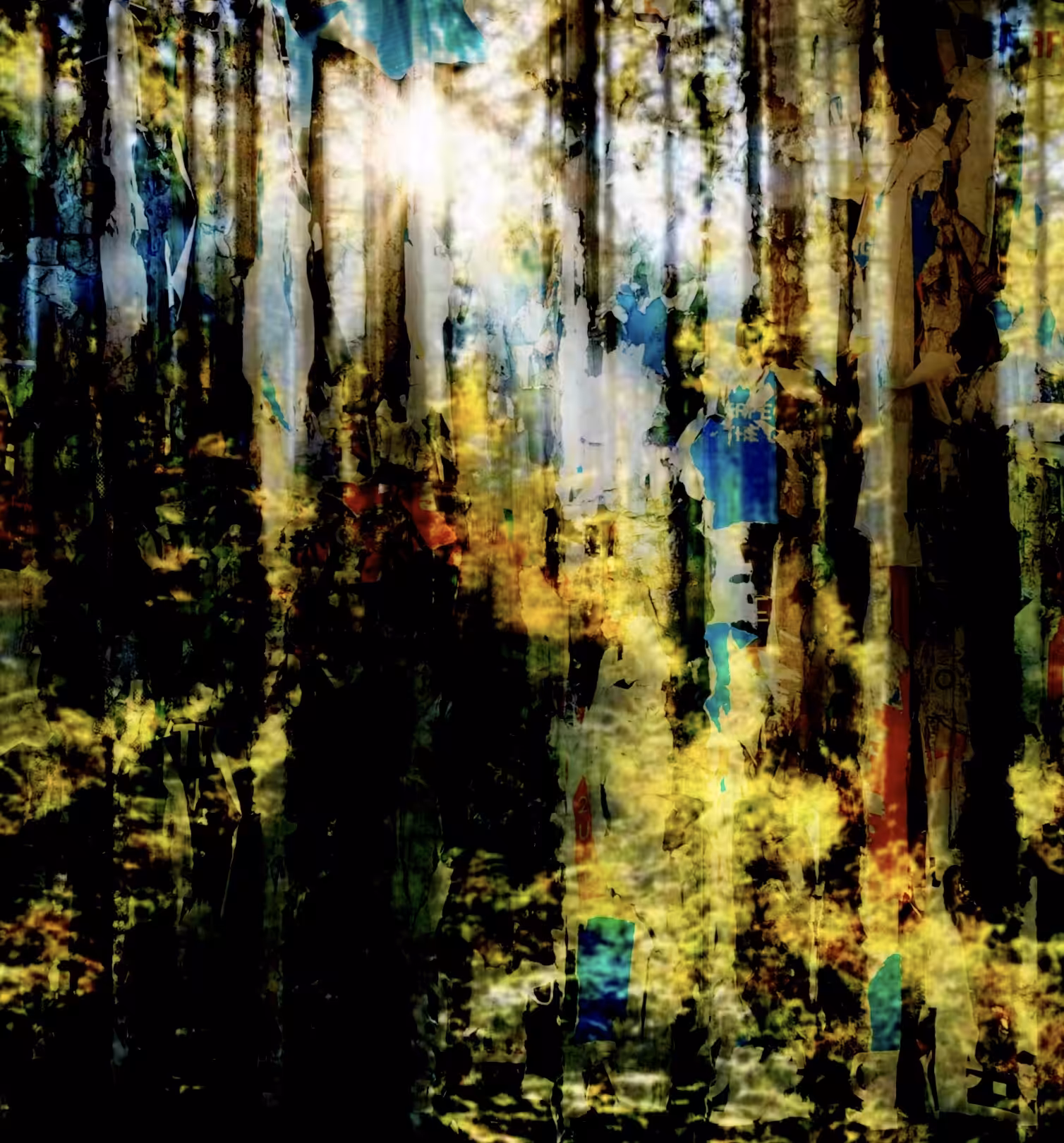 The Forest 1