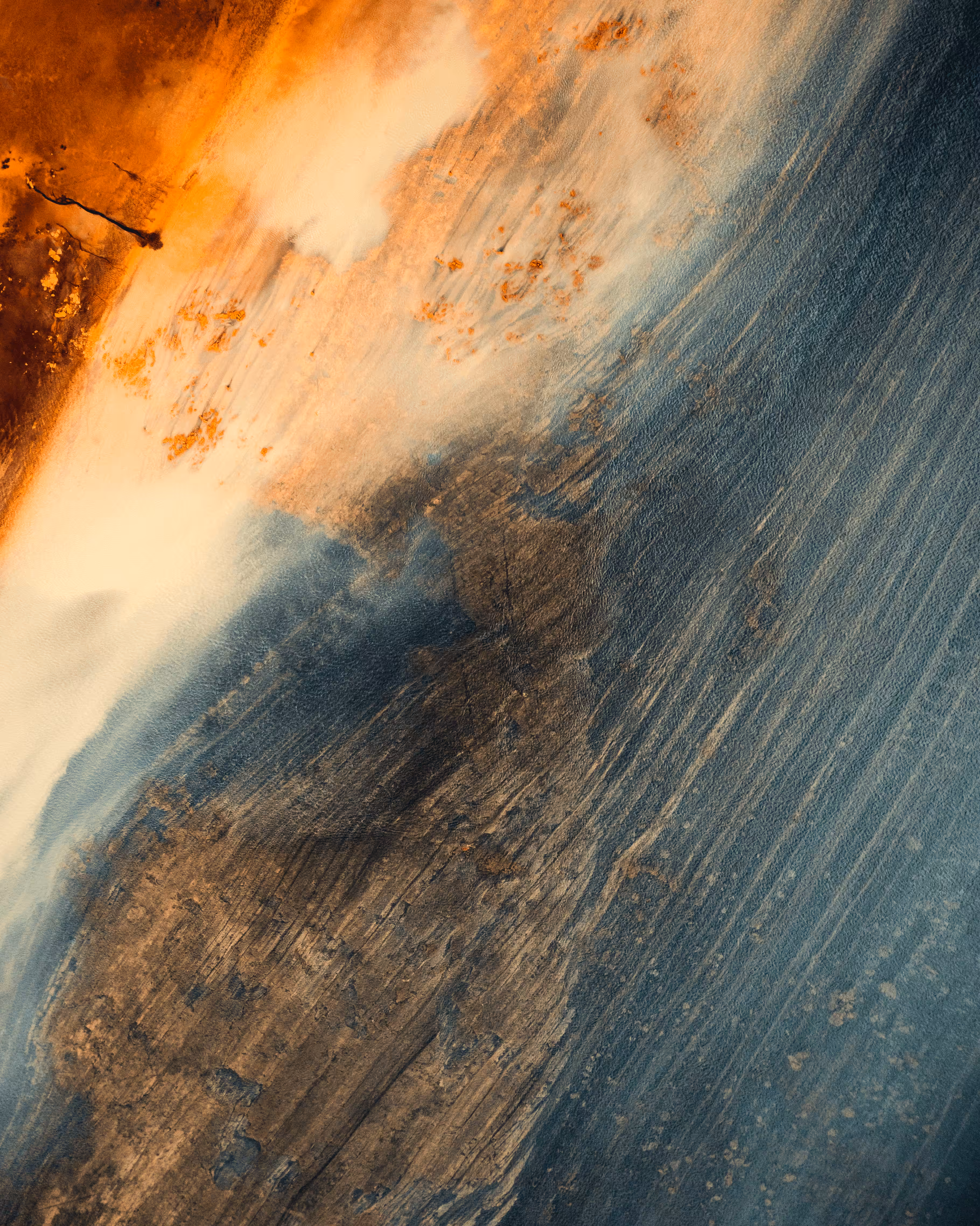 The Painted World