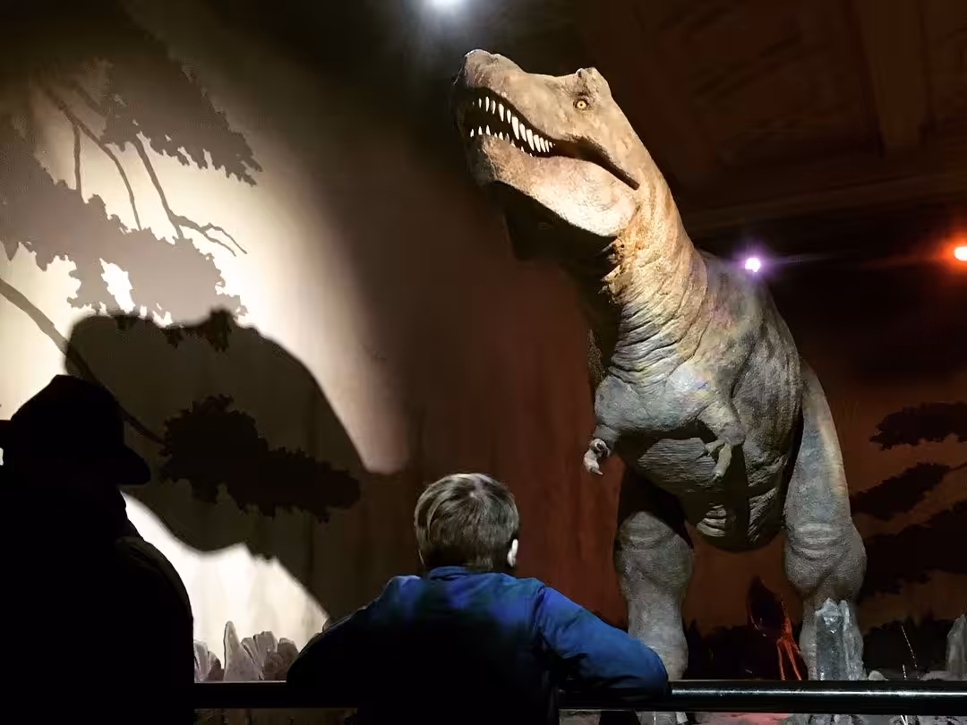 Dino Boy
