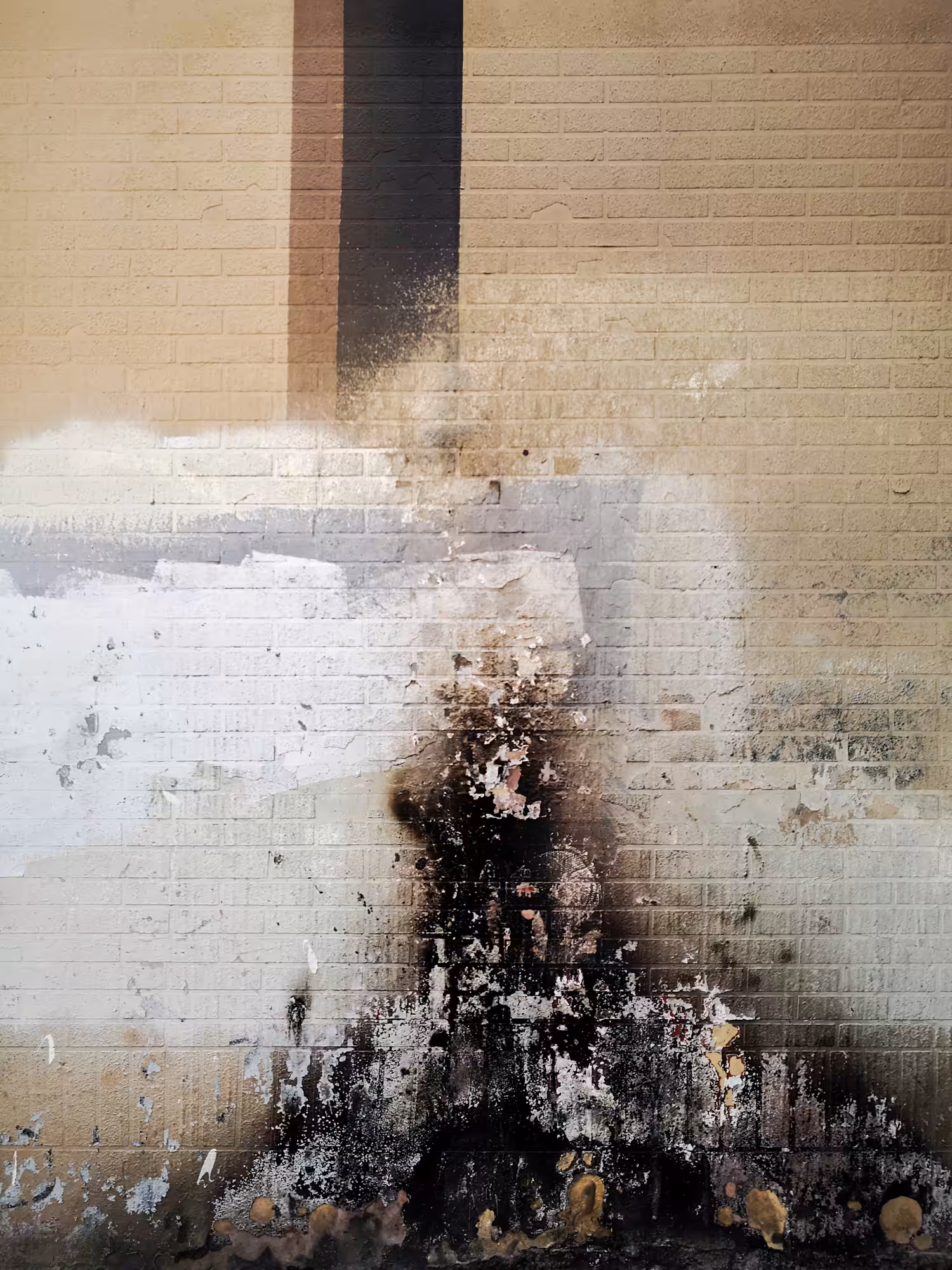The Wall #37