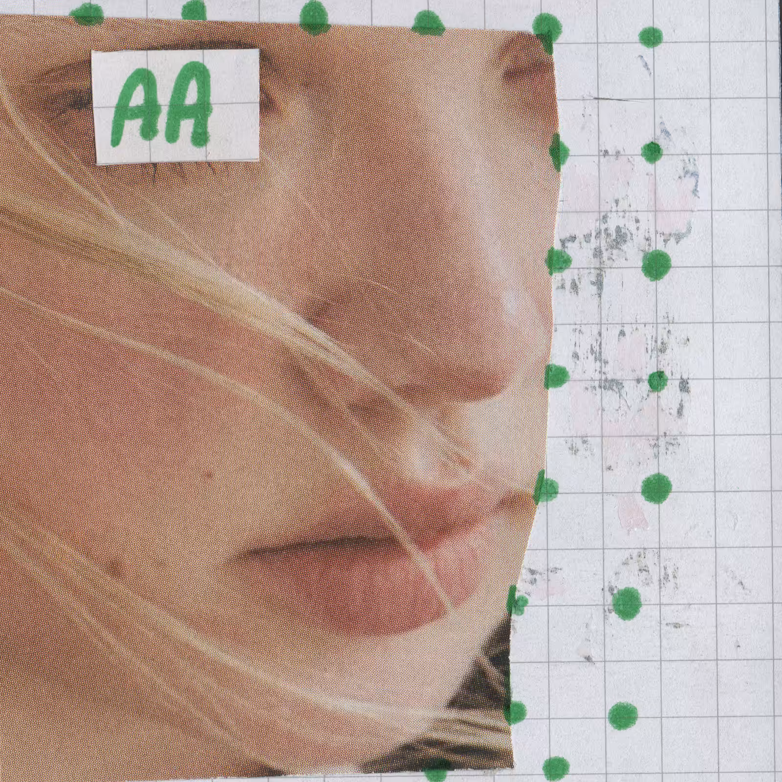 1mouth analog #207