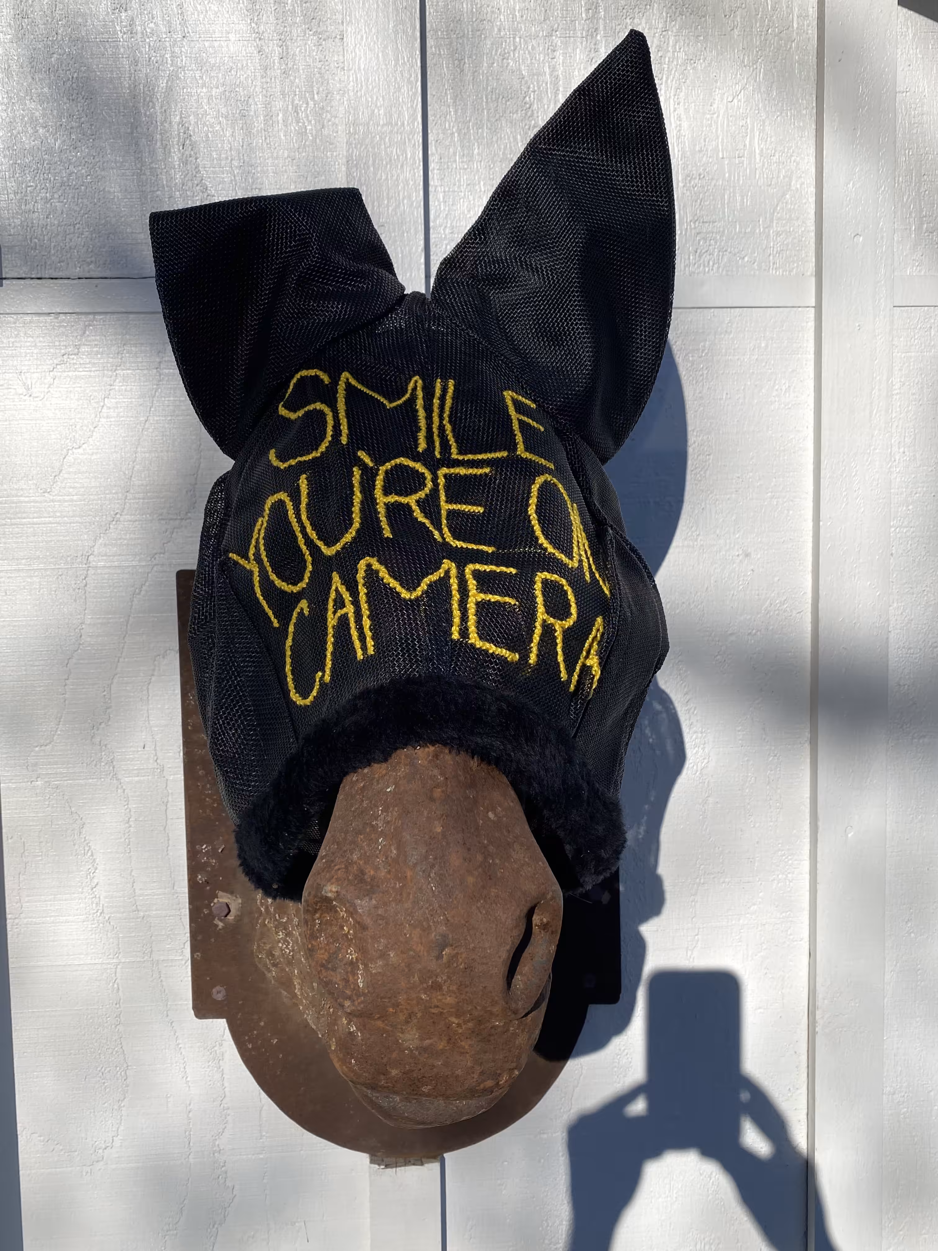 Smile You're On Camera