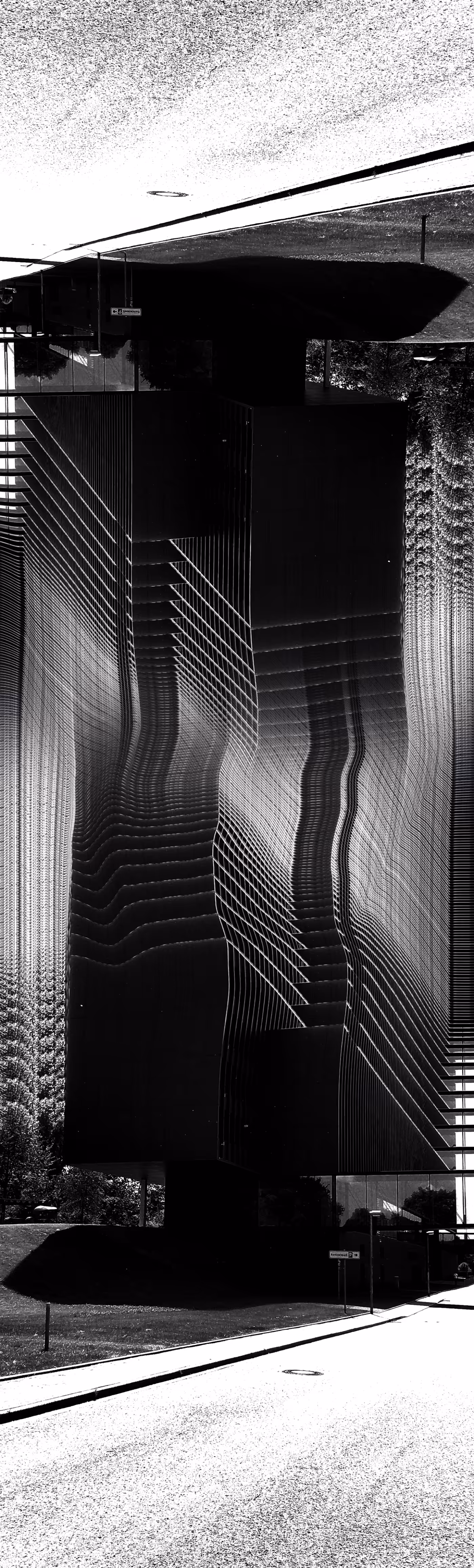 Distortion - North star