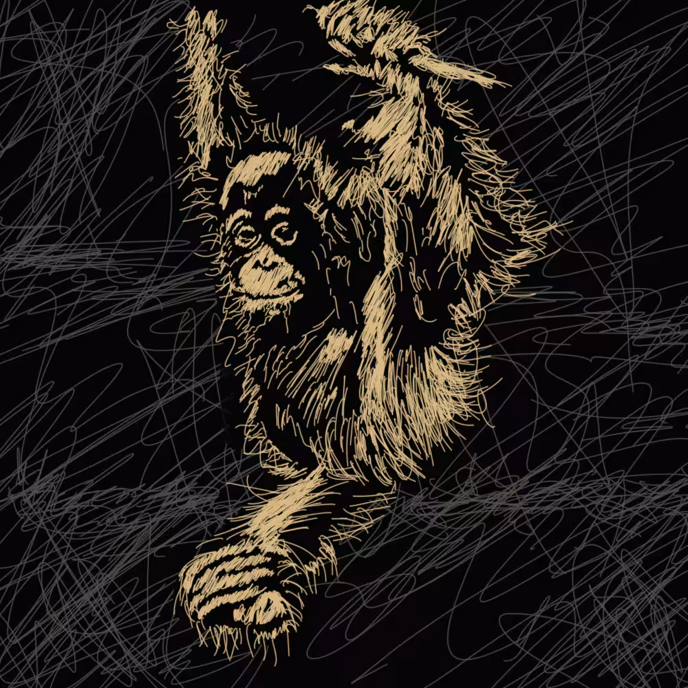 Objkt #1Orang Utan