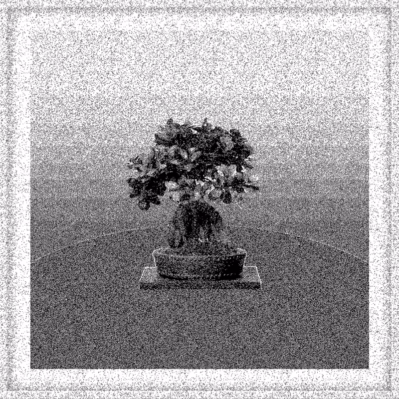 Bonsai Bonanza #751
