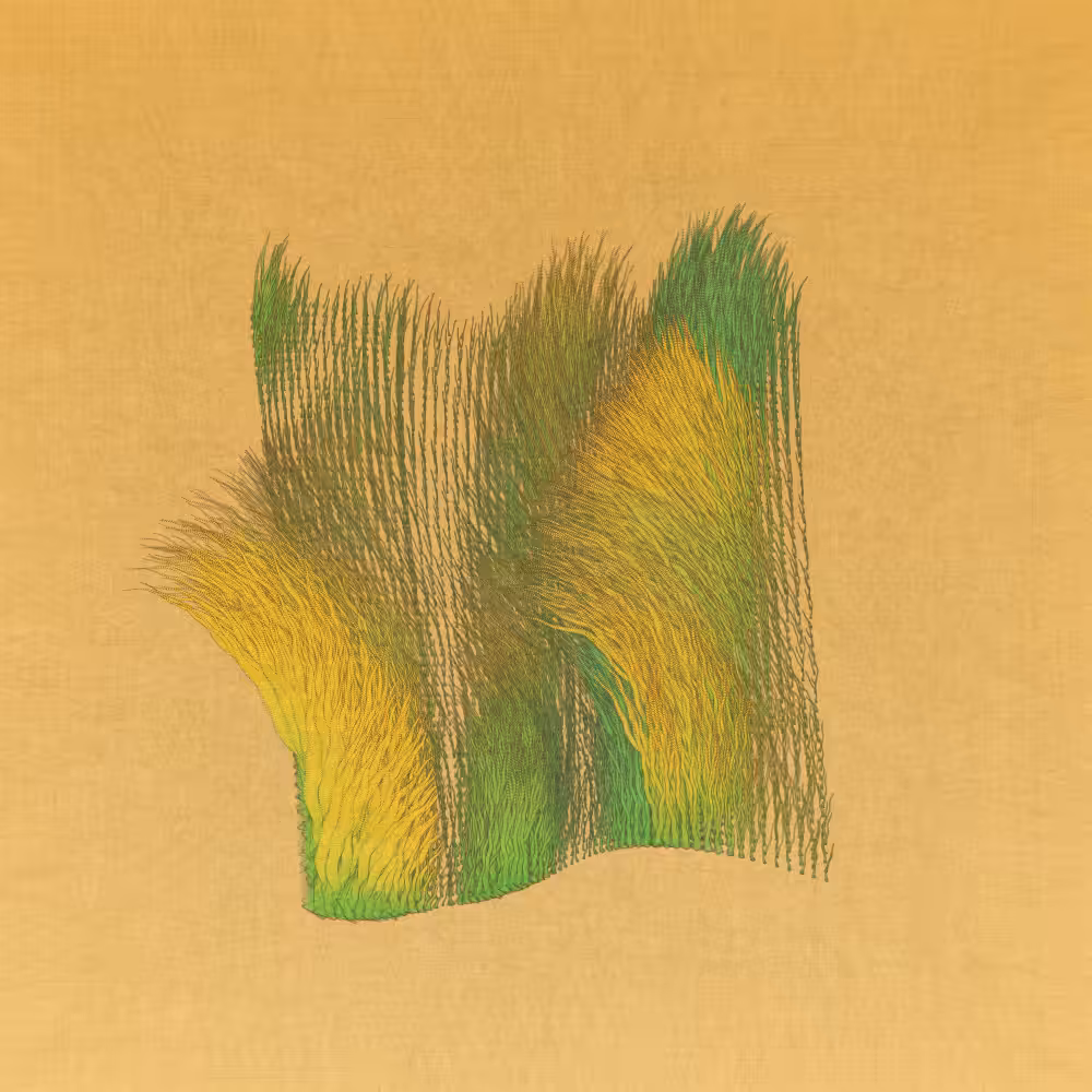 FERAL #64