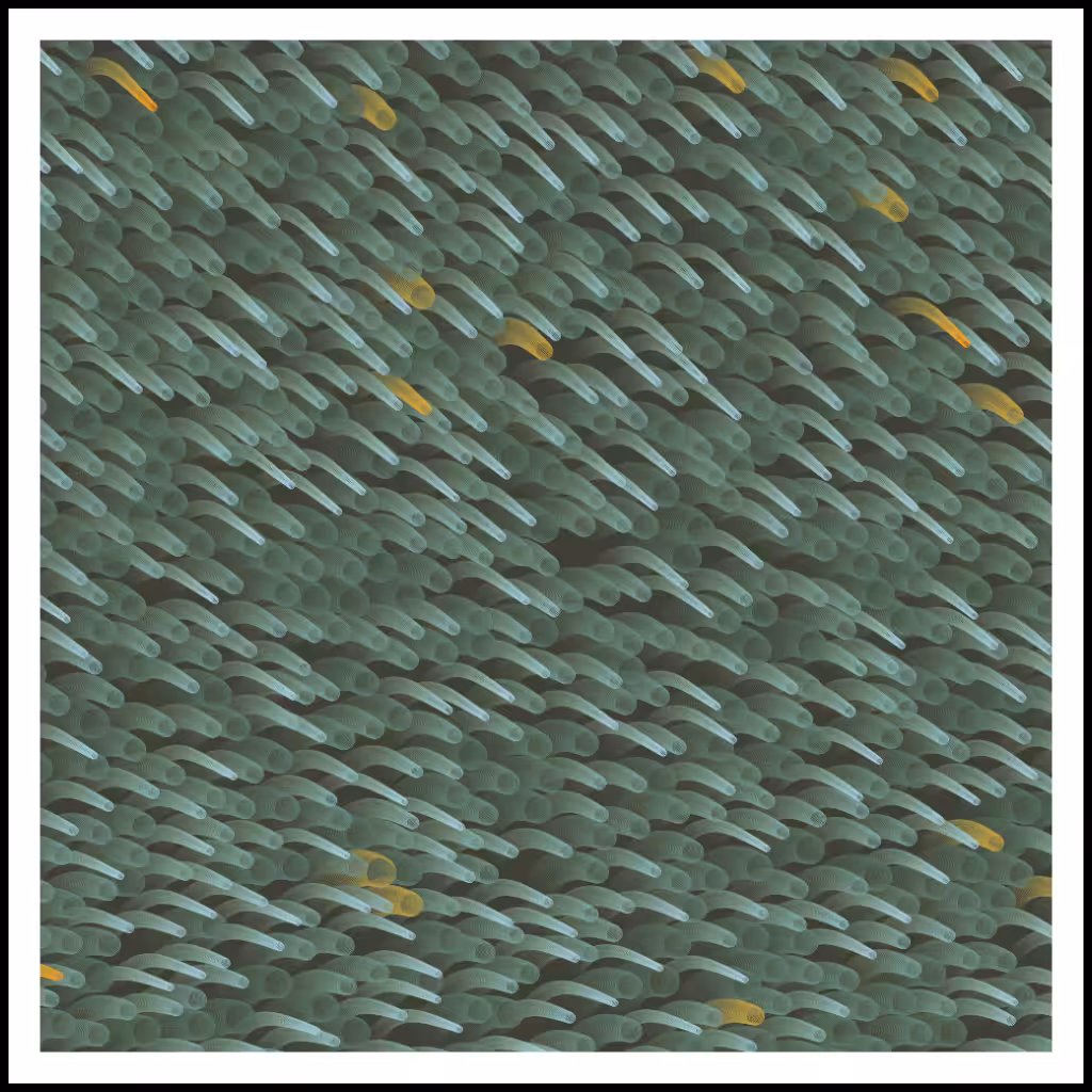 Studies of Motion  #8