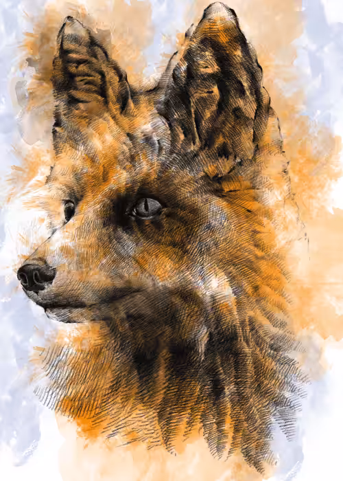 Red Fox