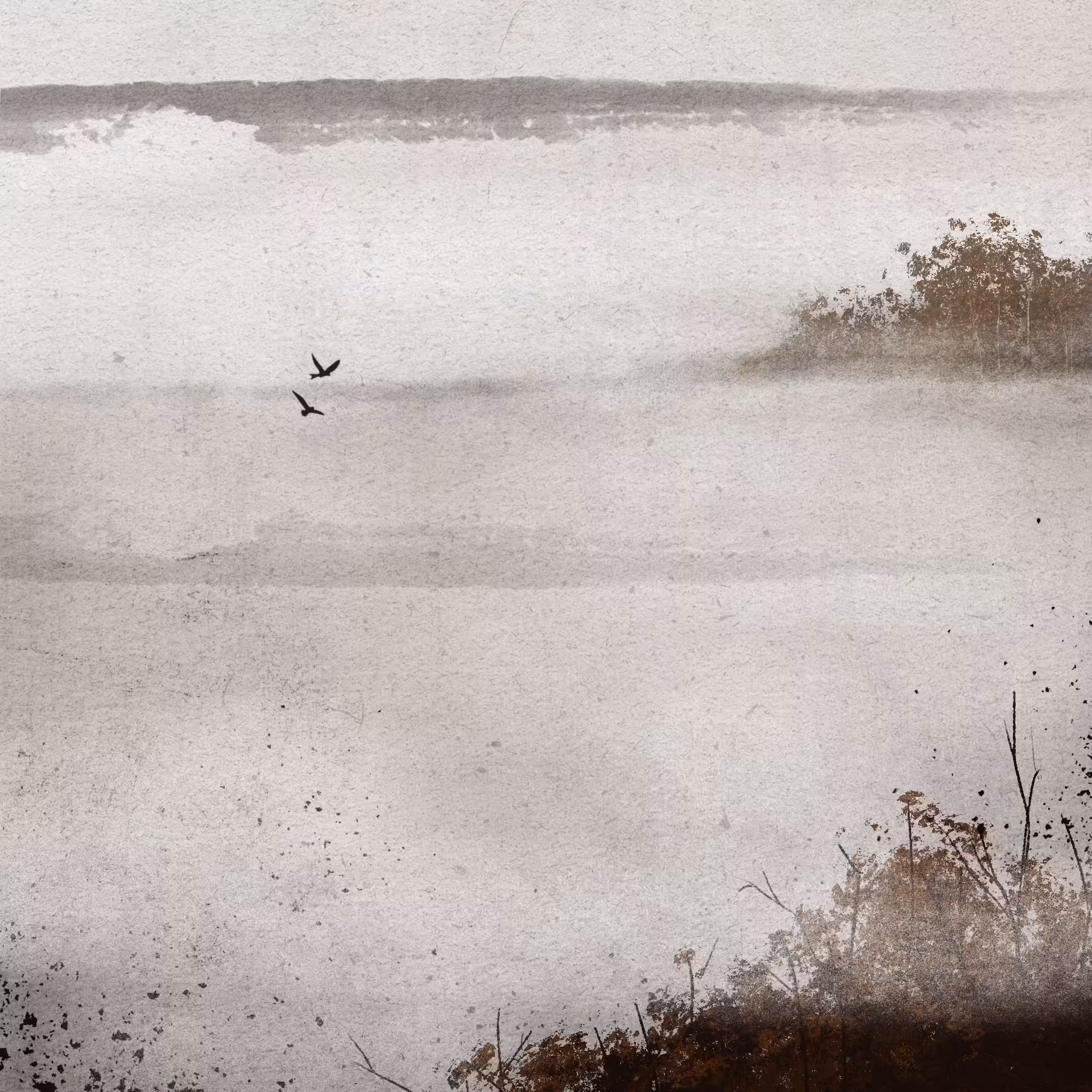 foggy morning