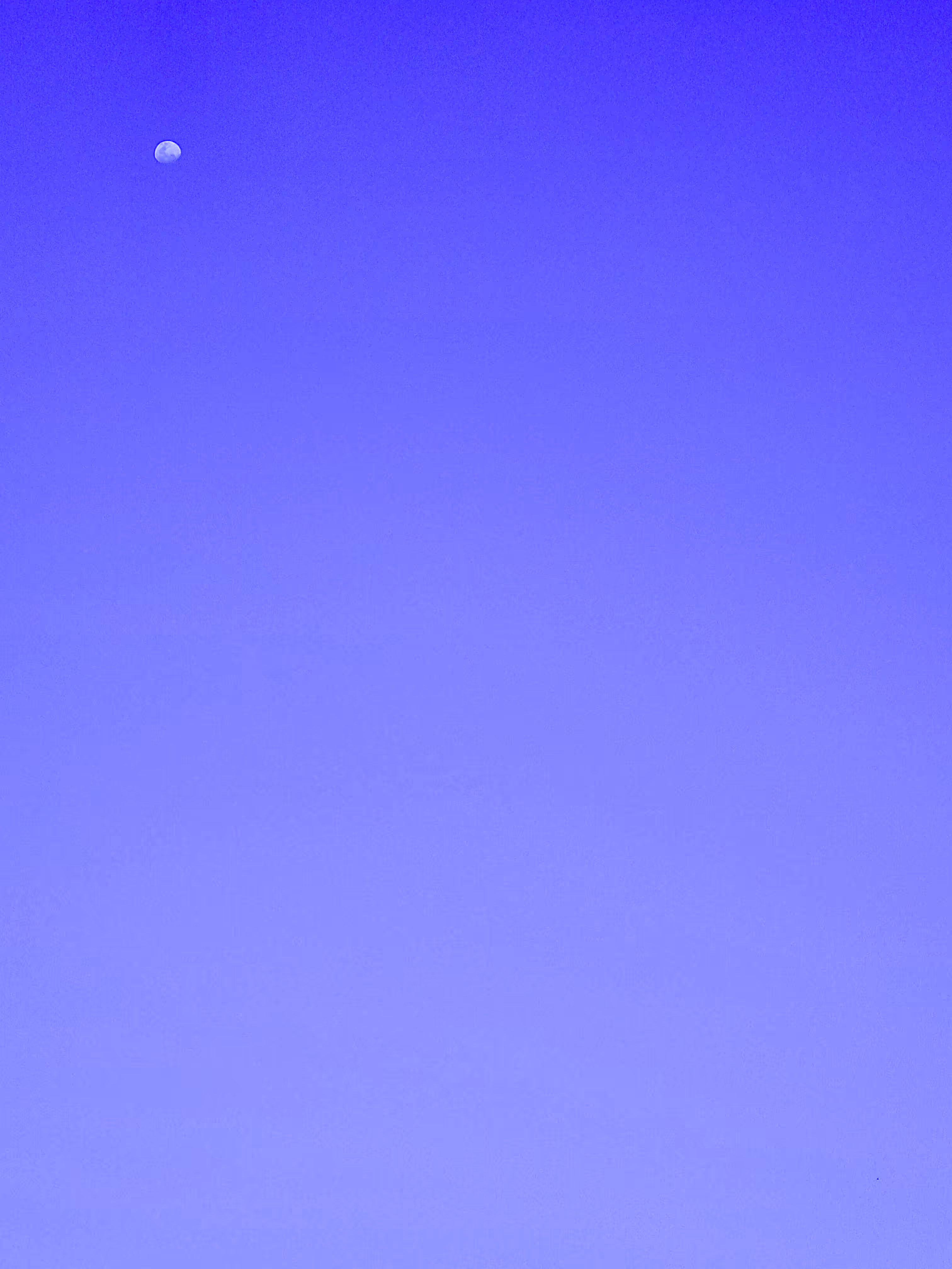 Blue Moon