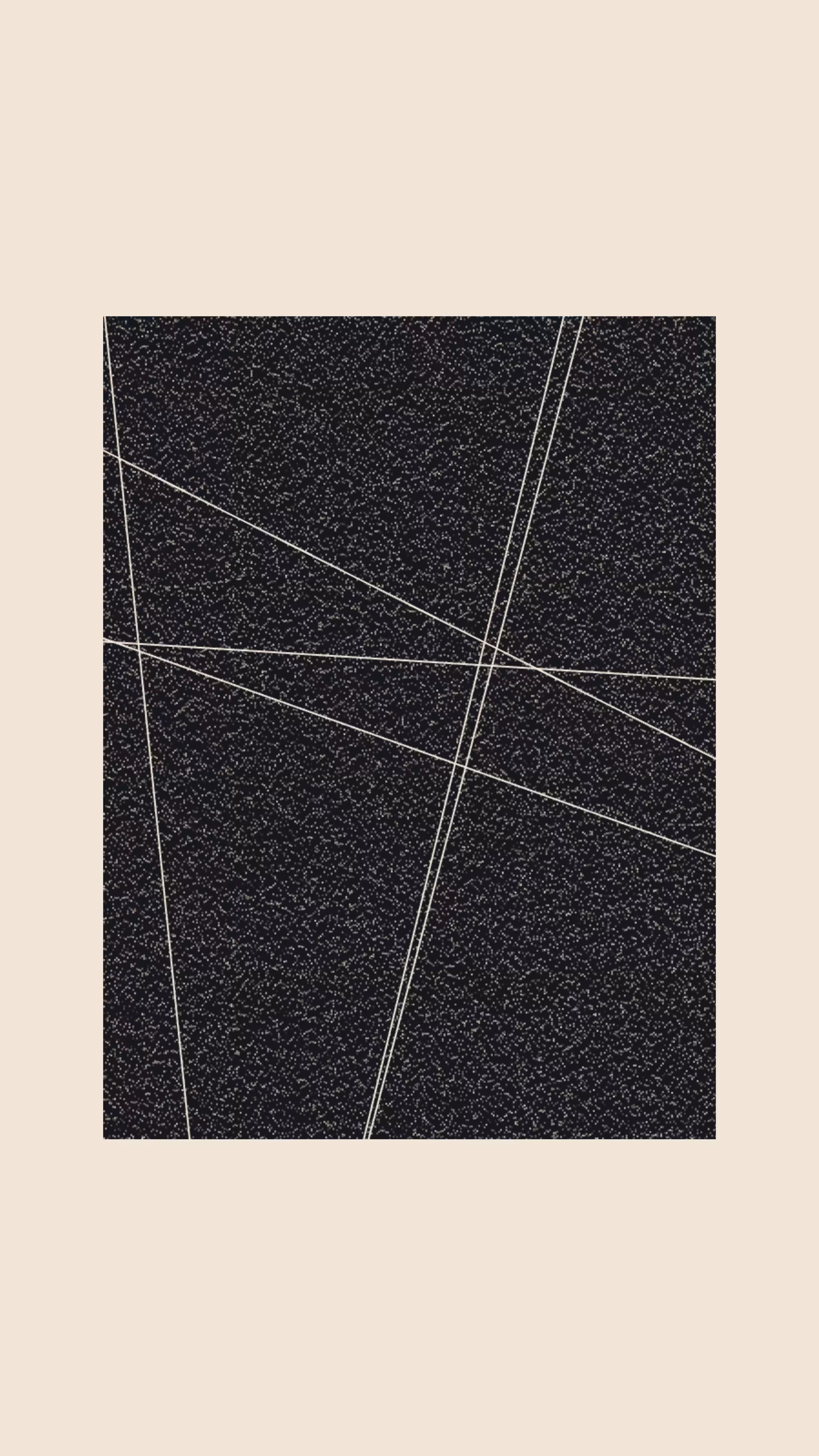 wt 019