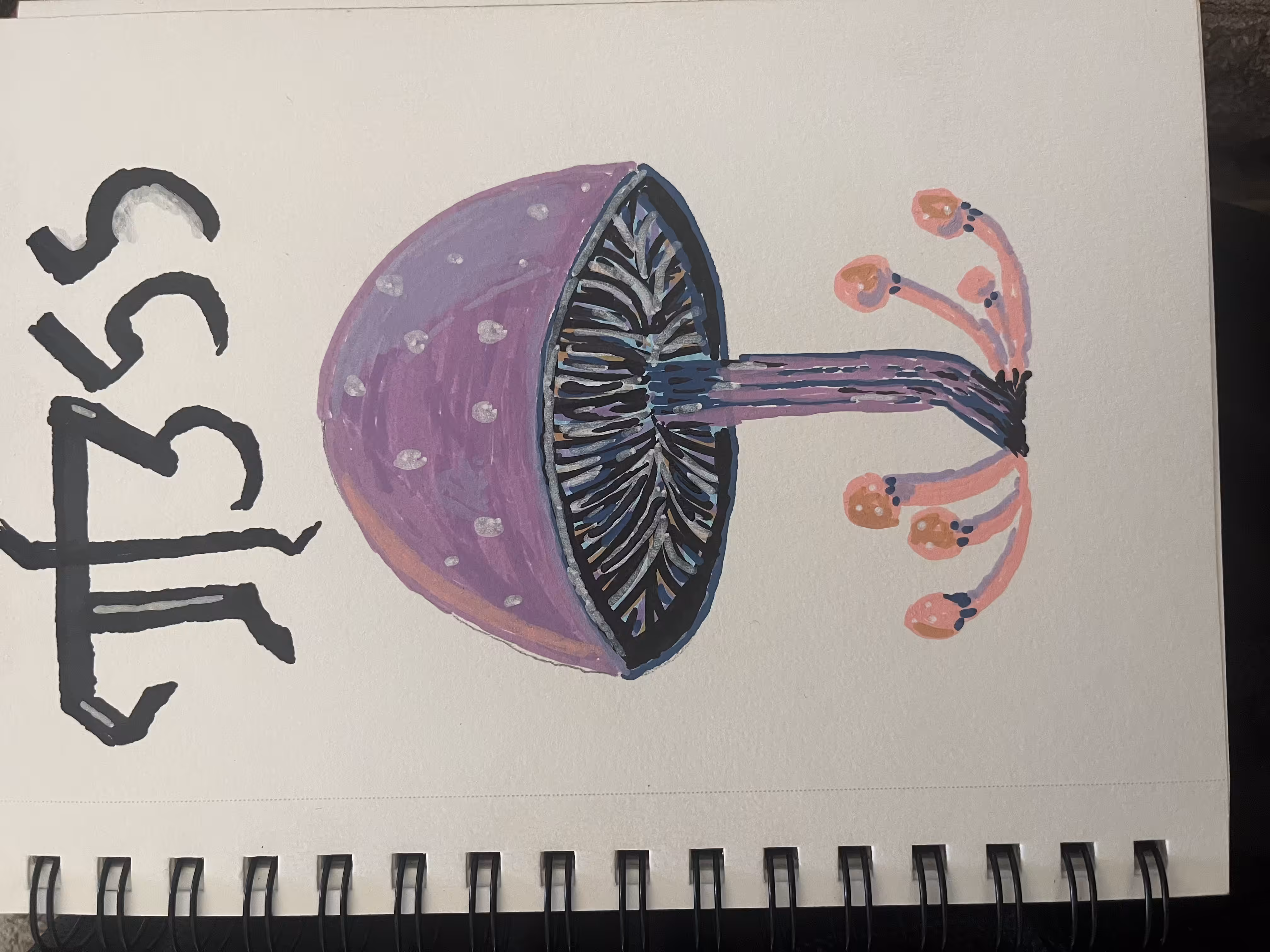 Magical mushroom