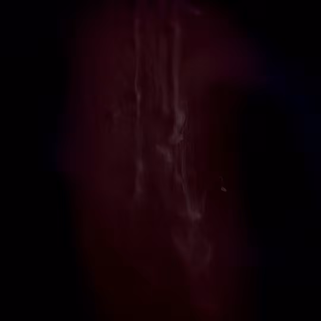 Paracosm #8
