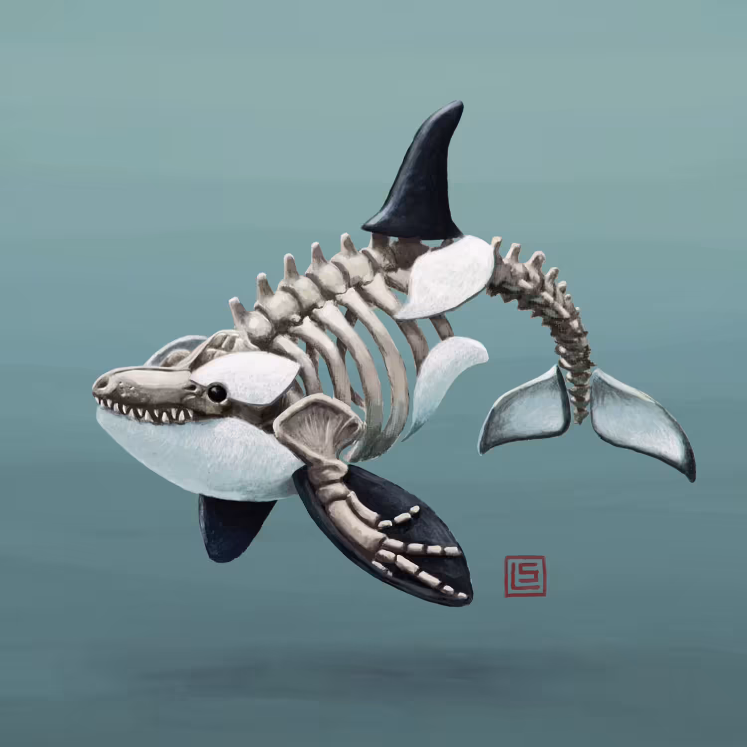 Skeleton Orca