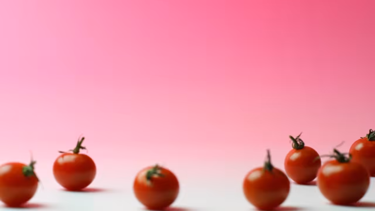 Tomato’s Love
