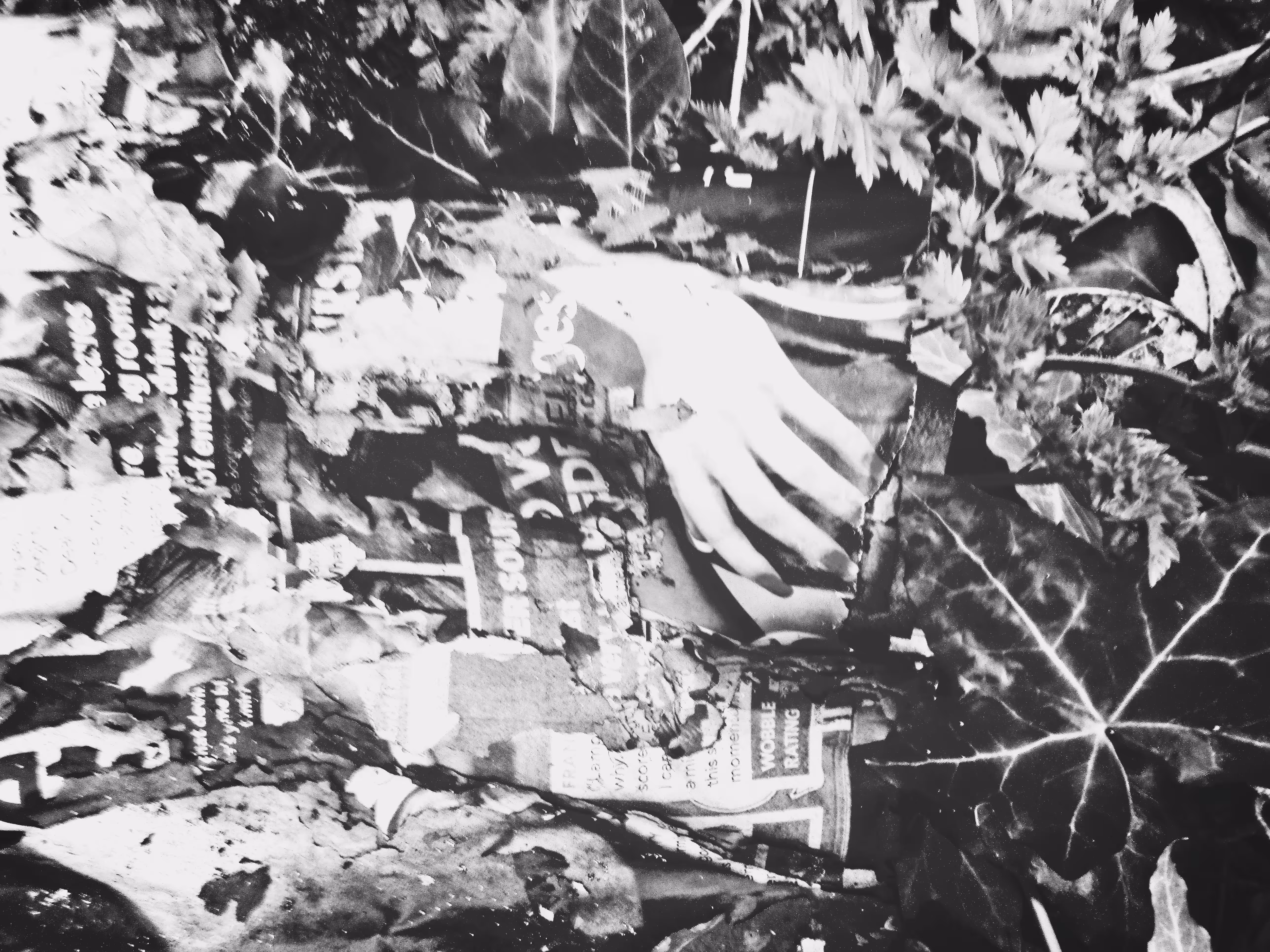 Collage
