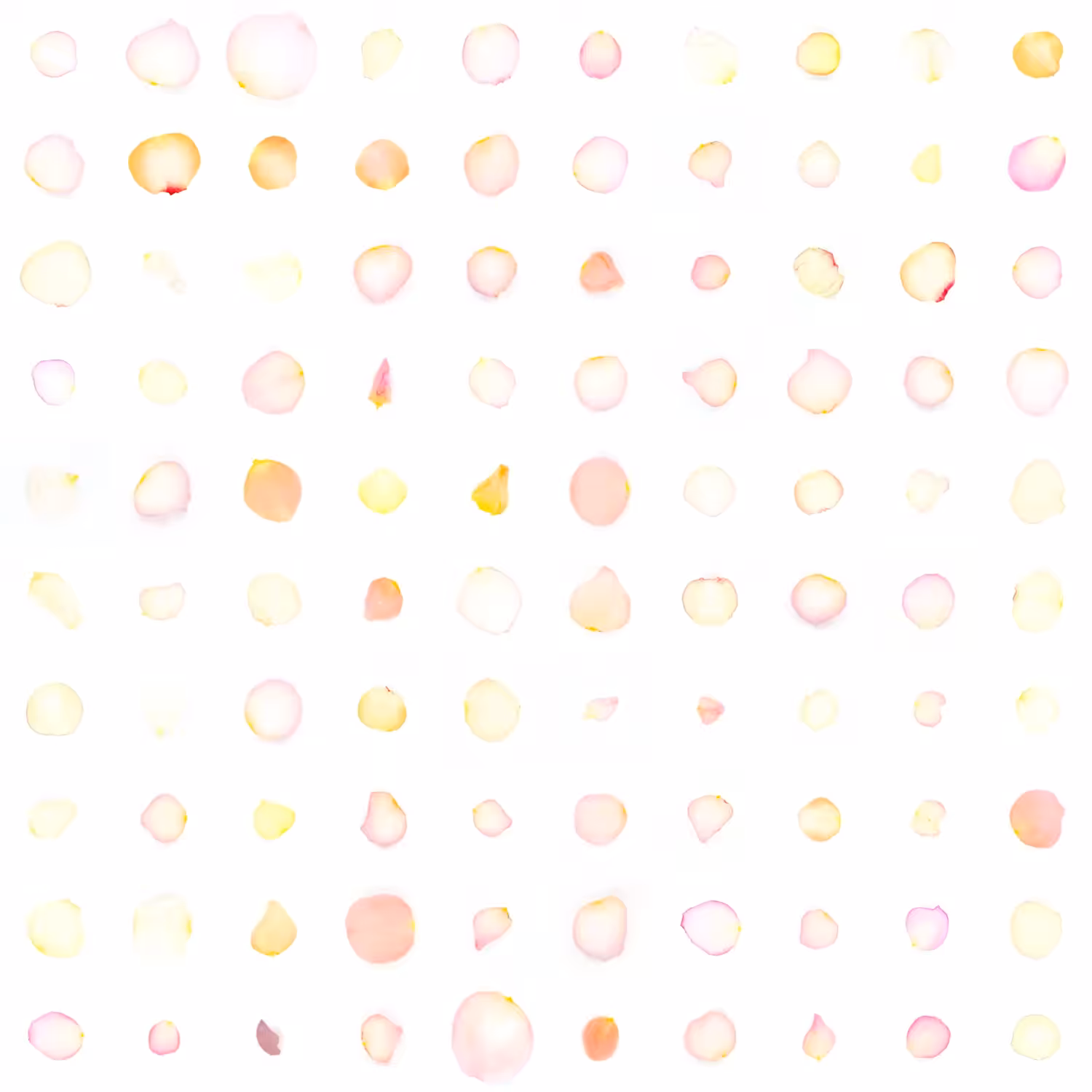 Infinite Petals 10x10#20056