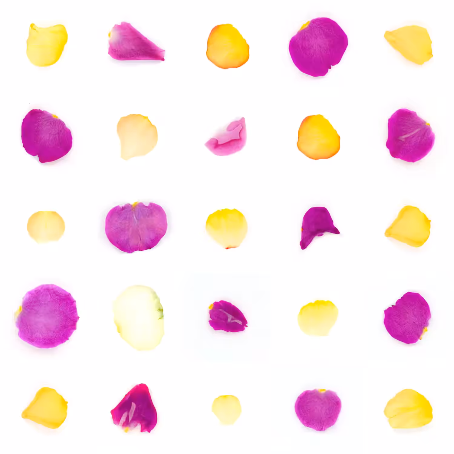 Infinite Petals 5x5#2061