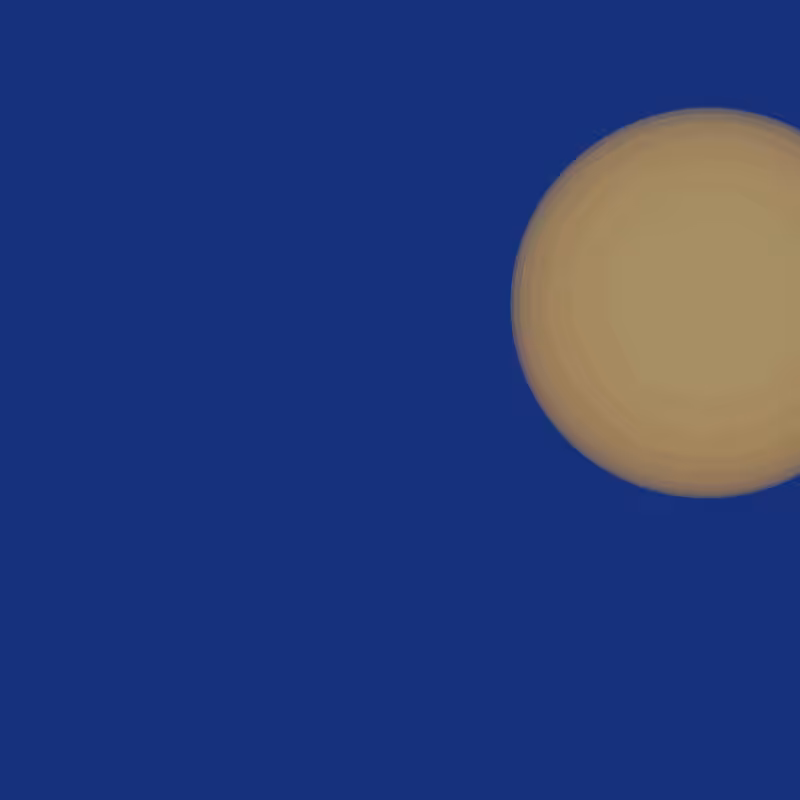 NIGHT & DAY #264