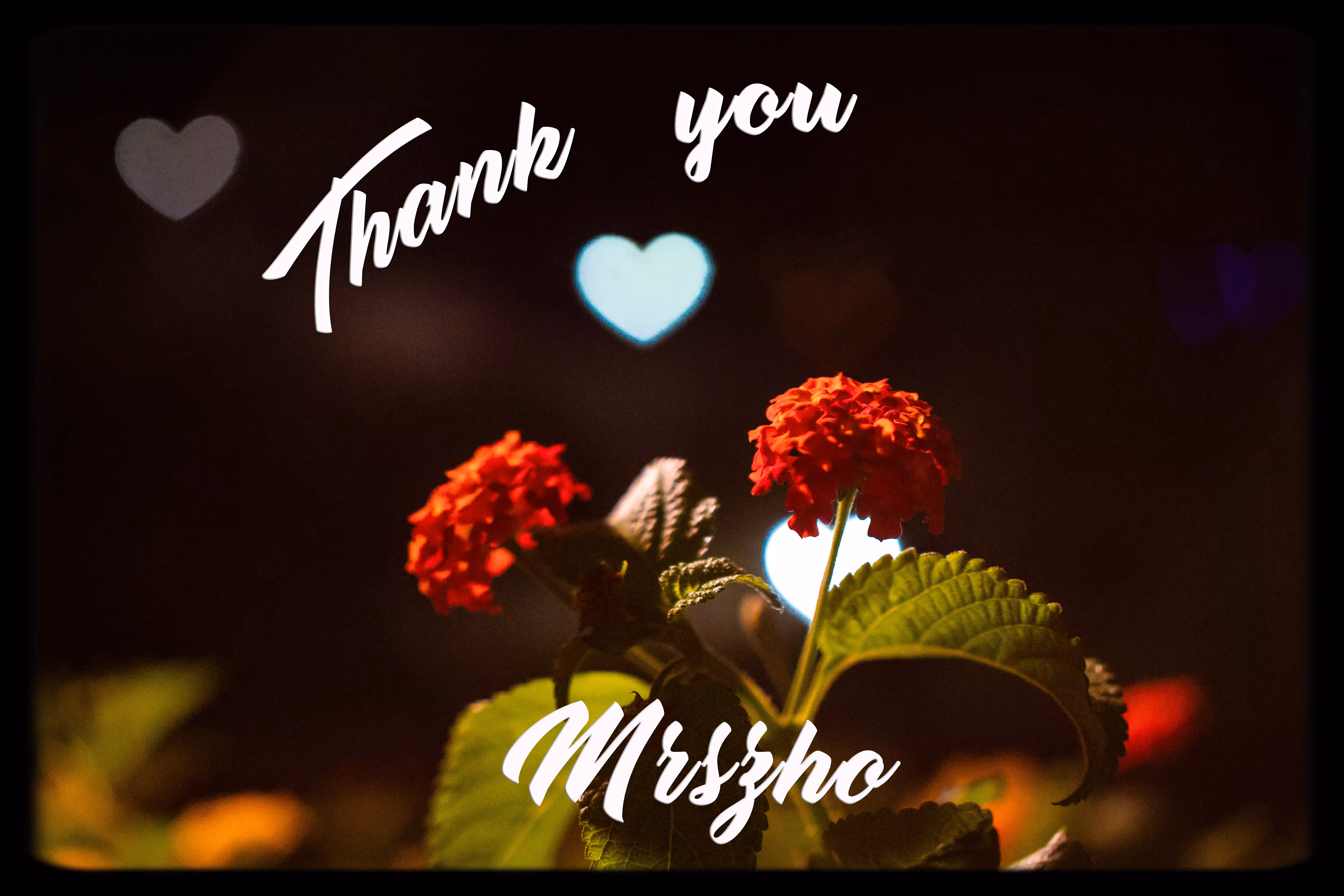 Thank You Mrszho