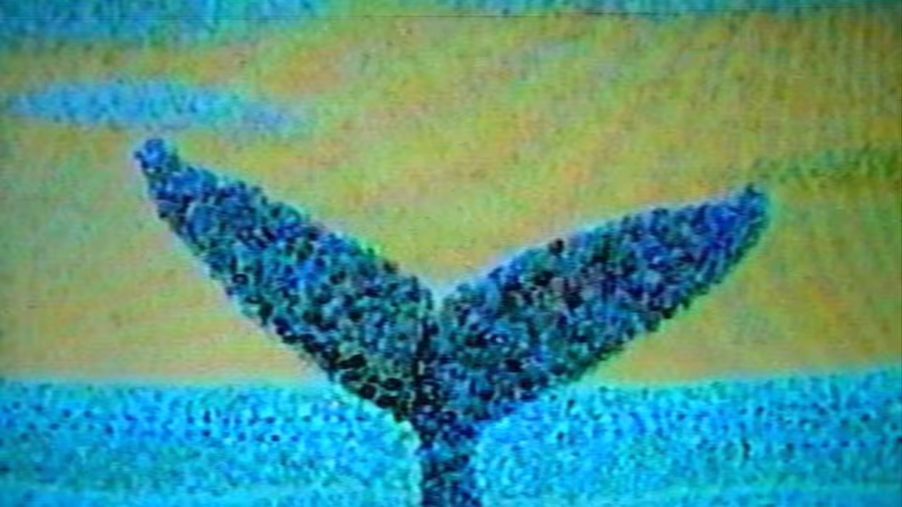 surreal tv