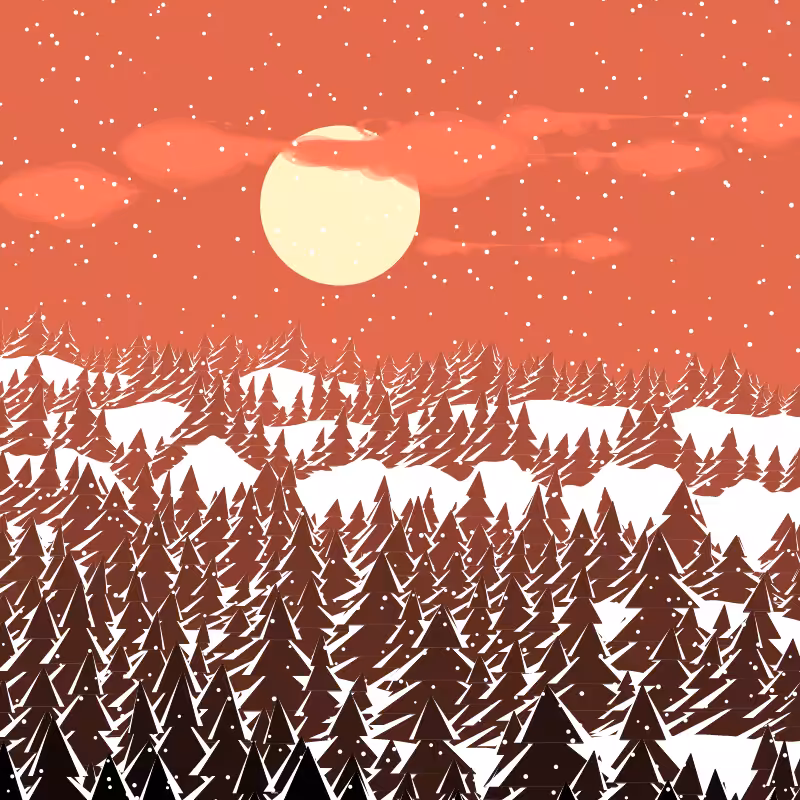 Winterland #167
