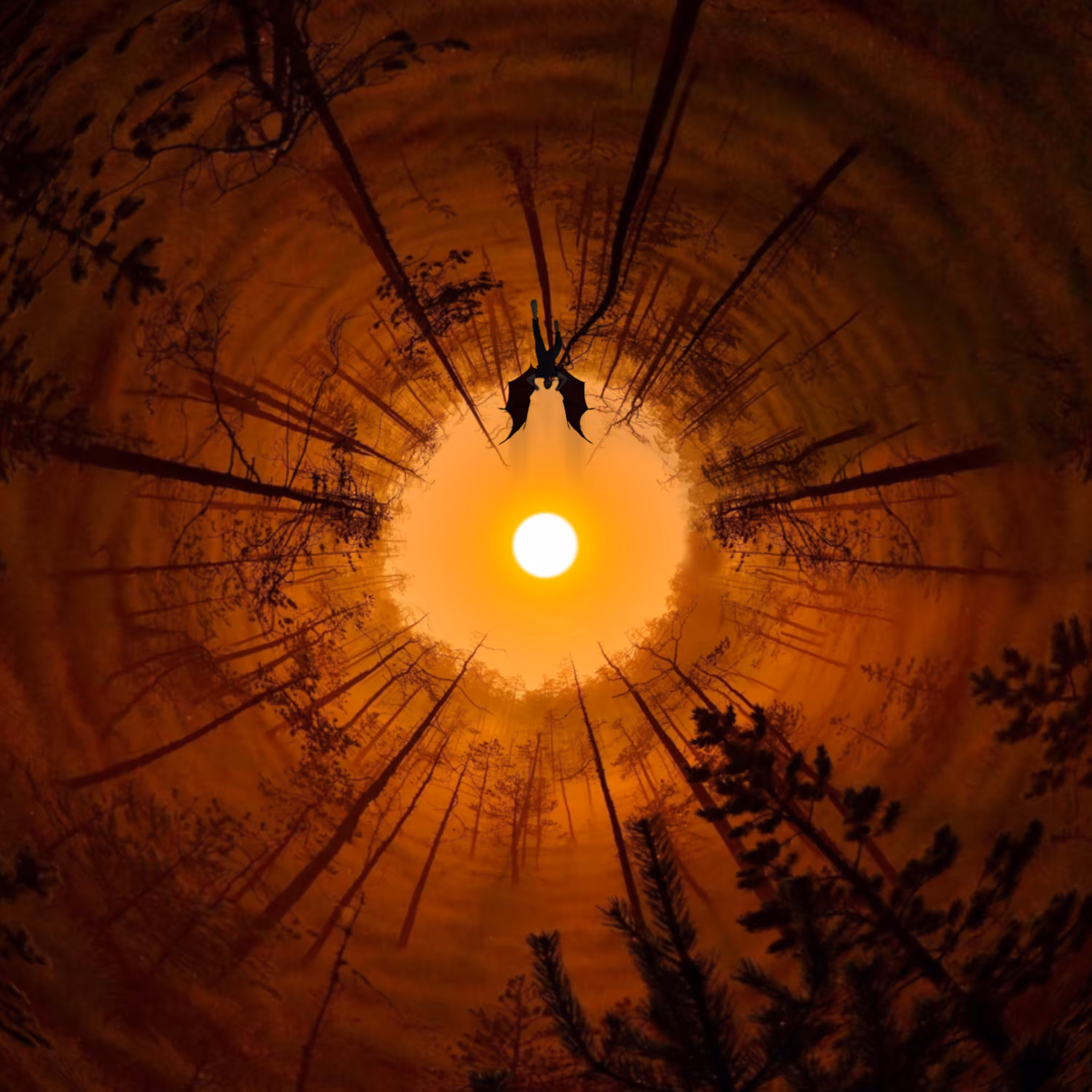 Utopian framework #8 : Burning Forest