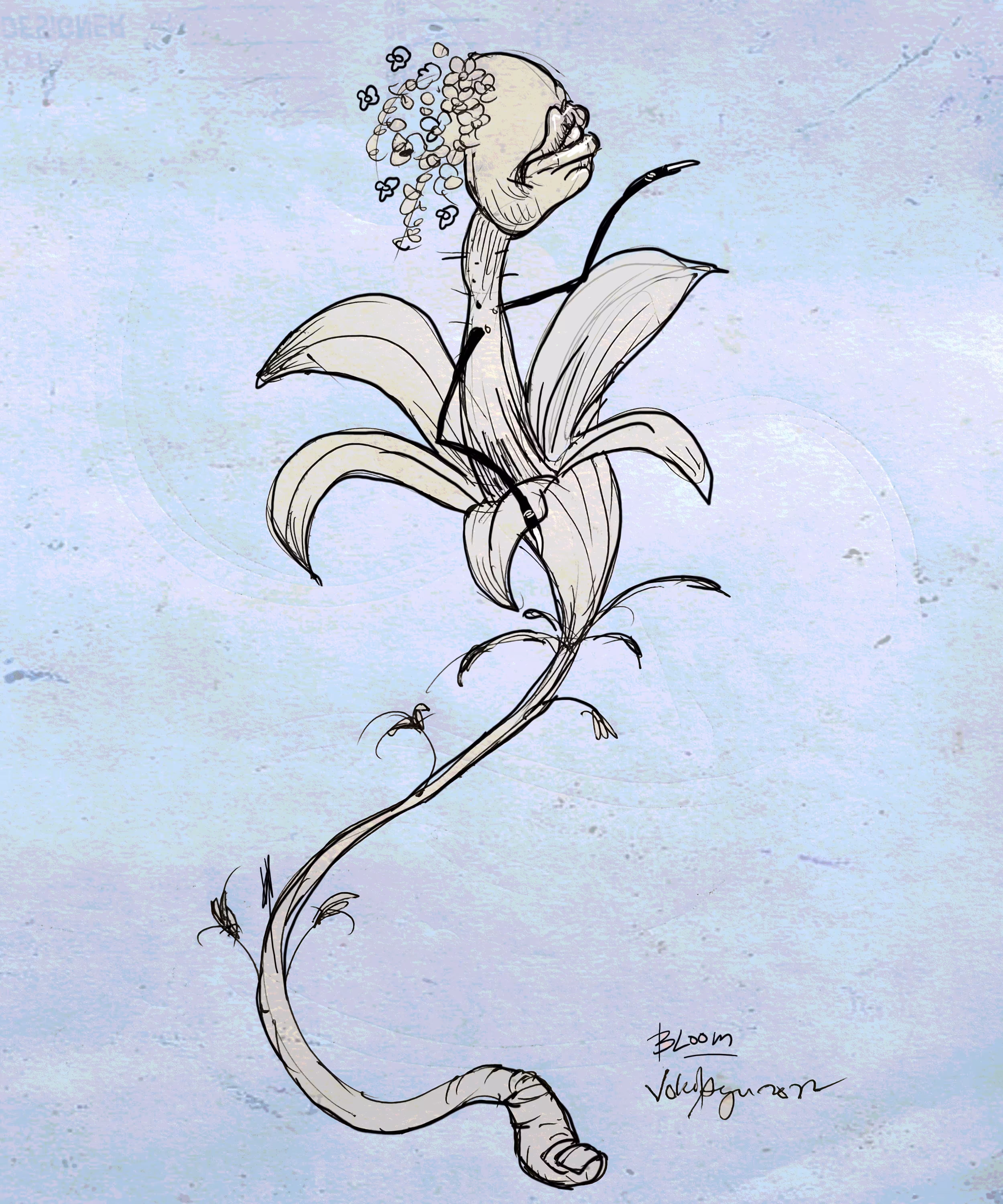 bloom