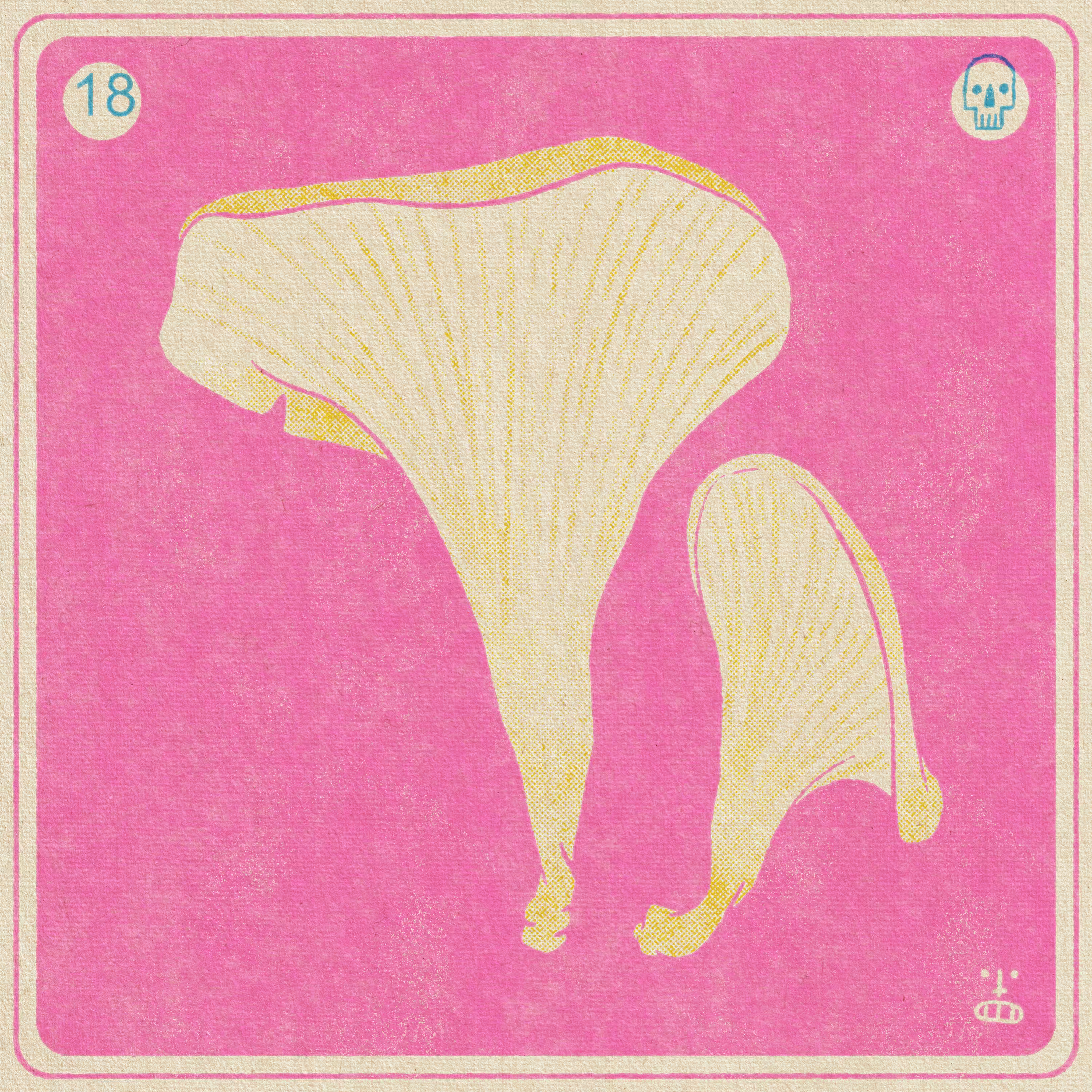 18- Trogia Venenata (Little white mushroom)