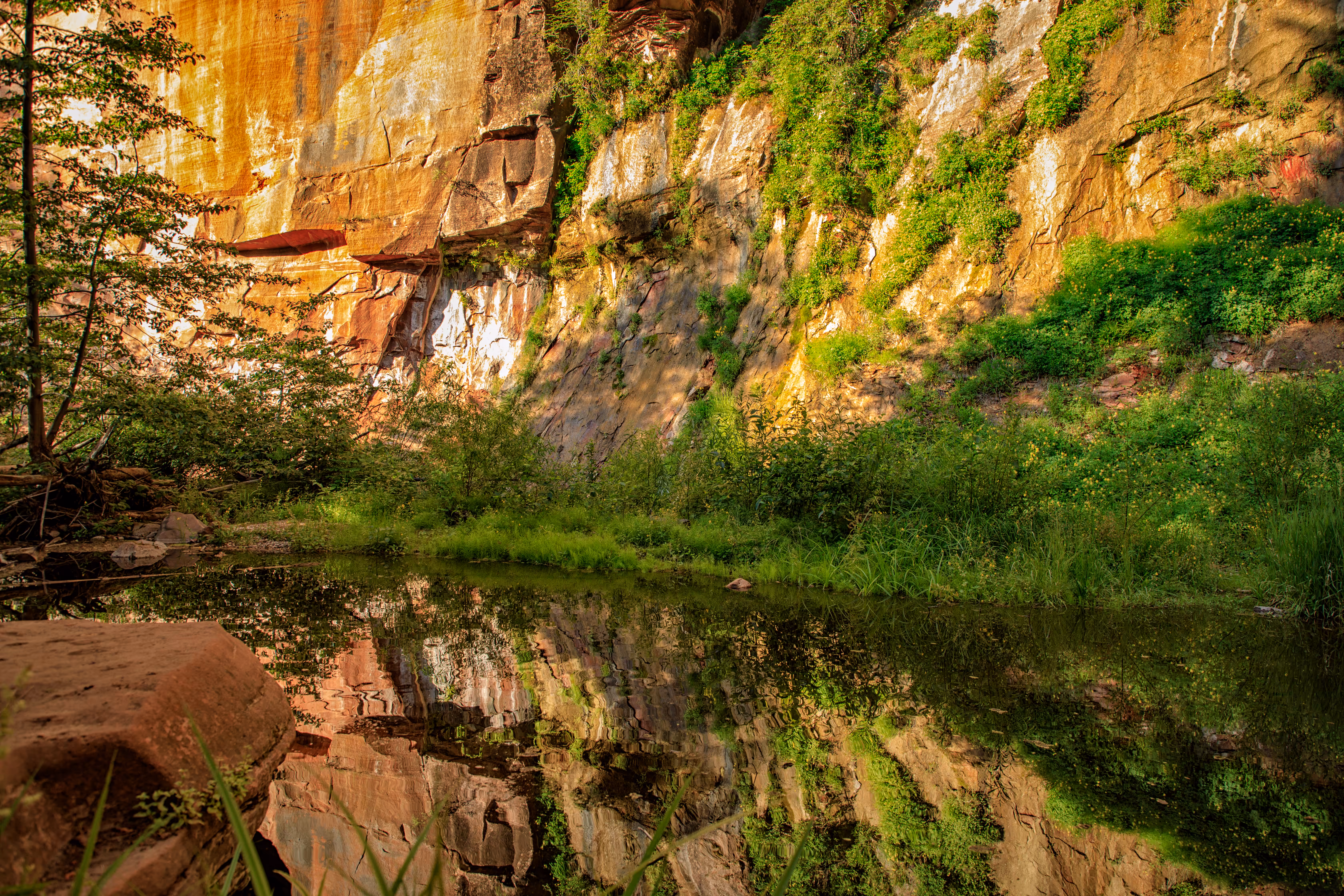 Time to Reflect