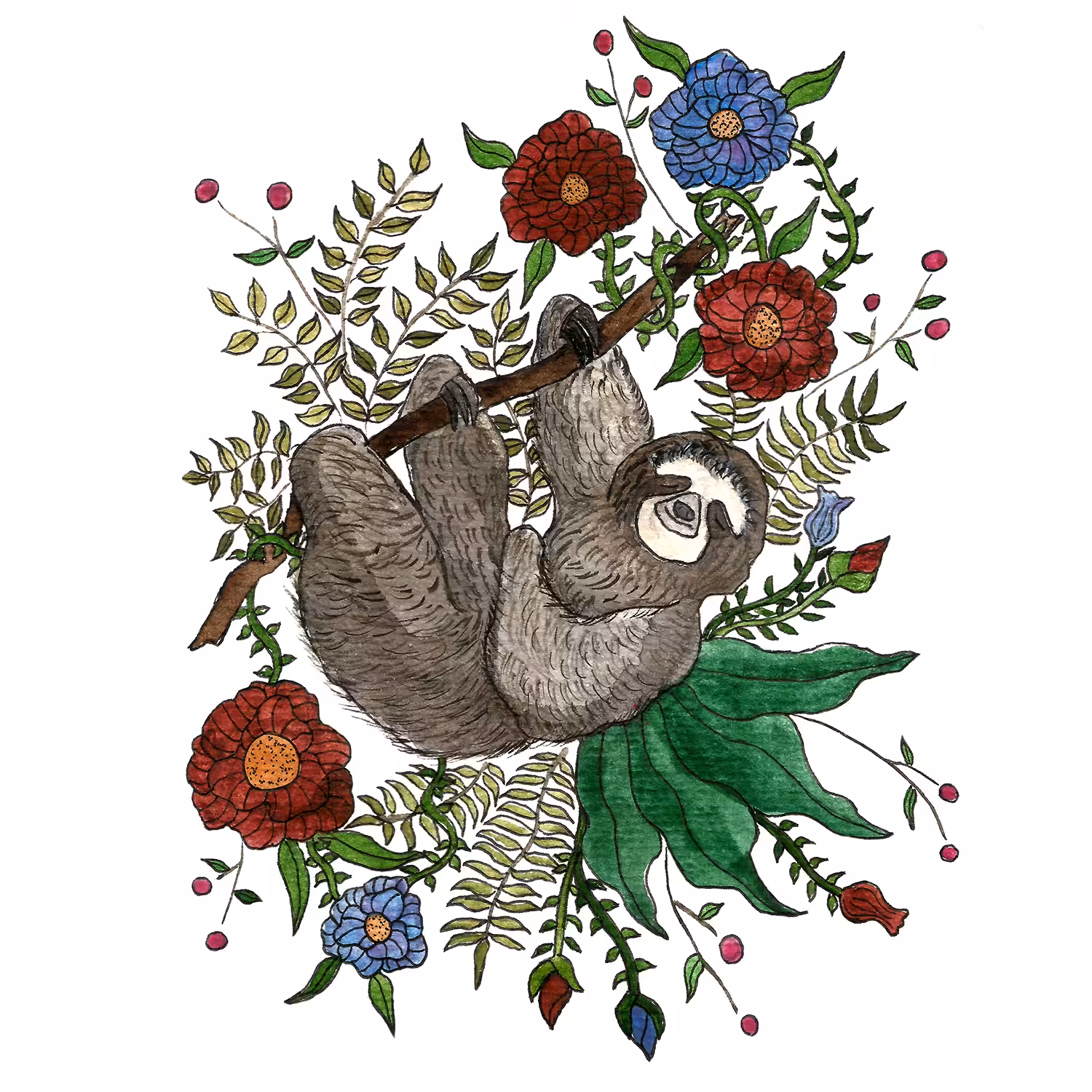 Sloth In Between Bloom