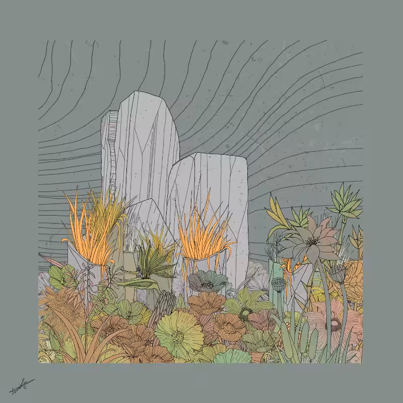 Garden of Lines #Rocks_Blooms #28